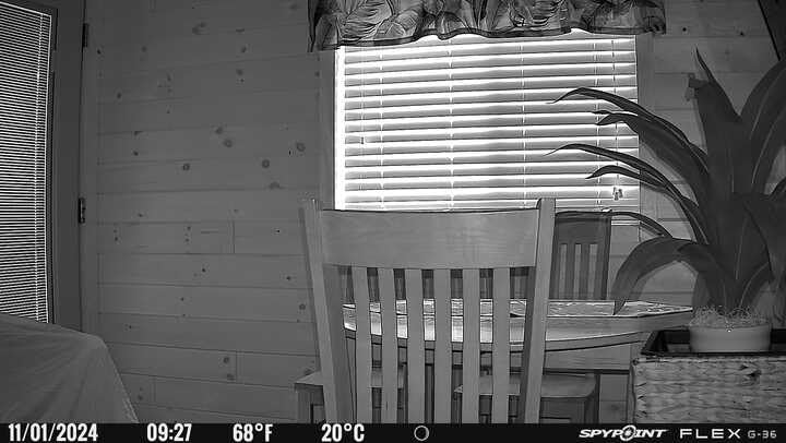 SPYPOINT Flex G-36 Twin Pack Cellular Trail Camera, 36MP Photos and 1080p Videos with Sound, GPS Enabled, Dual-Sim LTE Connectivity customer photo 1
