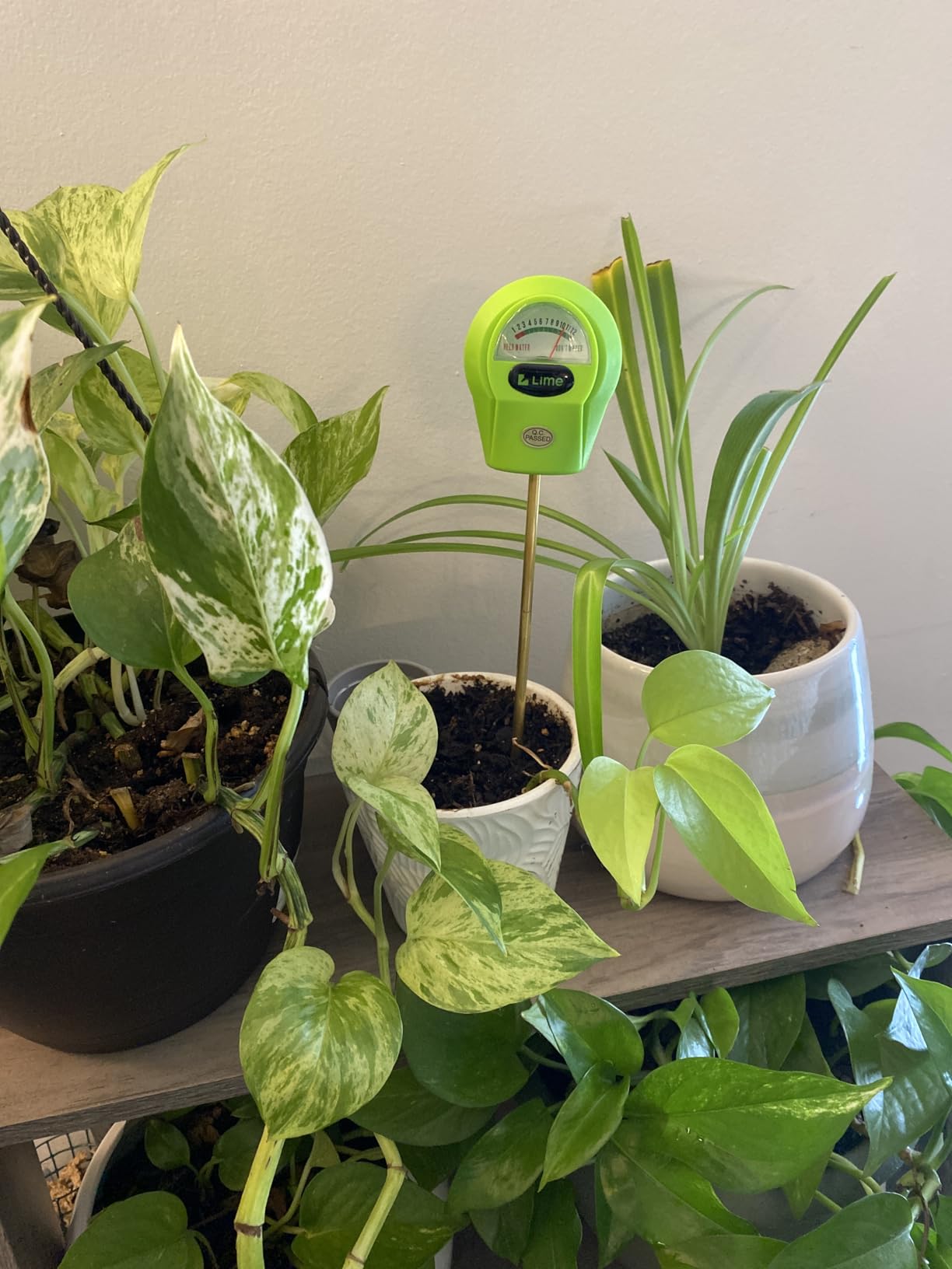 GROWIT Plant Moisture Meter - Accurately Tells You When to Water Your Plants - 26cm, No Battery Needed customer photo 2