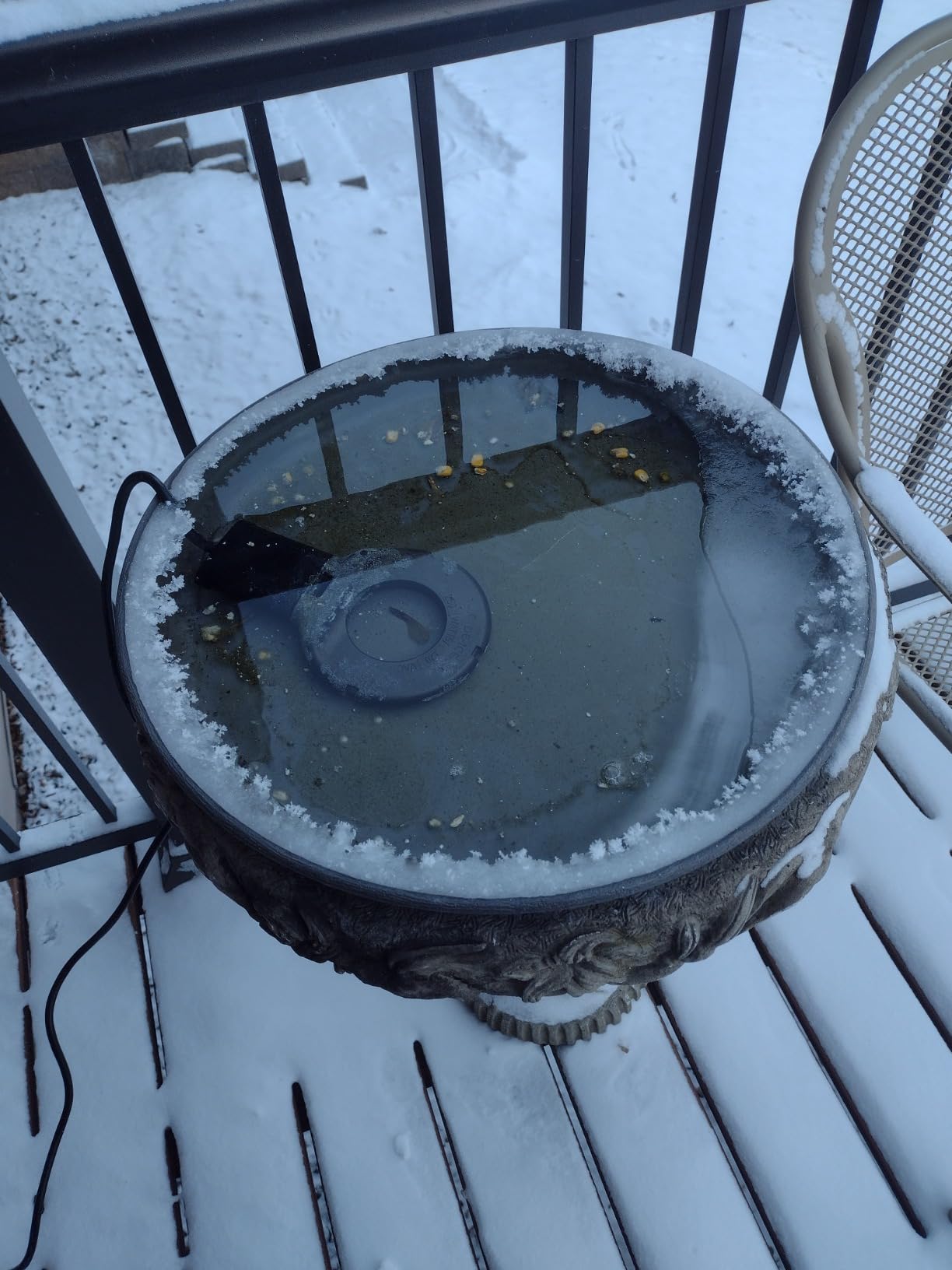 250 Watt Utility De-Icer Submergible Cast Aluminum Chicken Water Heater for Livestock Tank Heater Winter Bird Bath Heater customer photo 2