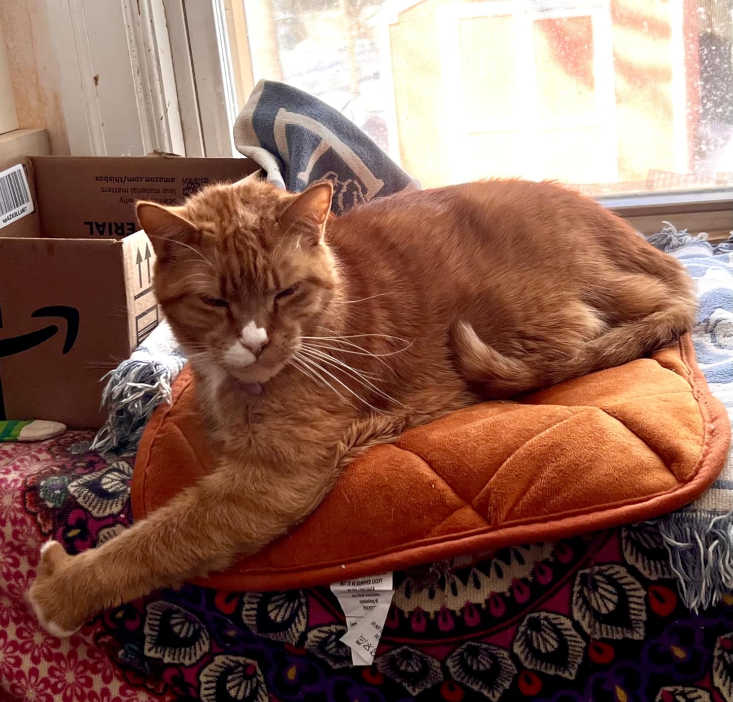 NAMOTEK Self-Warming Cat Bed Indoor/Outdoor Super Soft Self Heating Pet Mat Washable Thermal Pad for Cat & Dog 21x16 inch customer photo 2