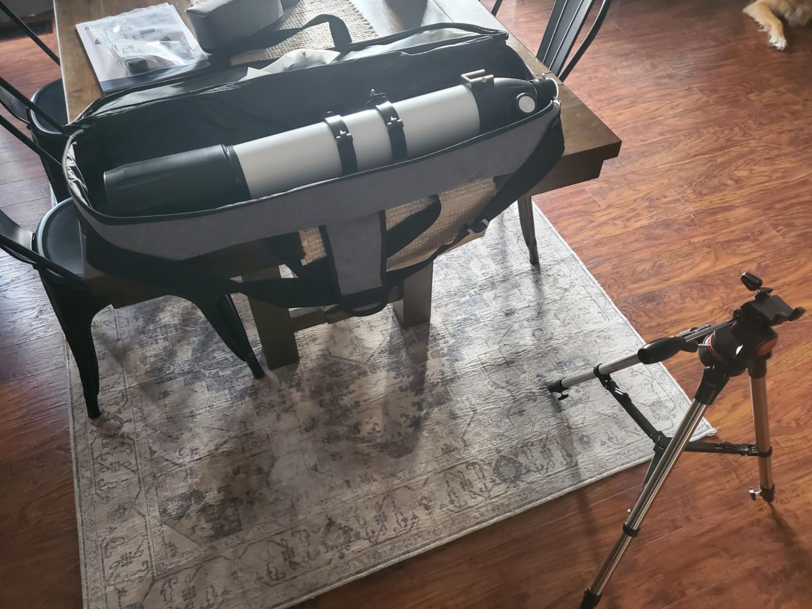 Dianfan Telescope,90mm Aperture 800mm Telescopes for Adults Astronomy,Portable Professional Refractor Telescope for Beginners,with Stainless Tripod & Phone Adapter,Carry Bag customer photo 2