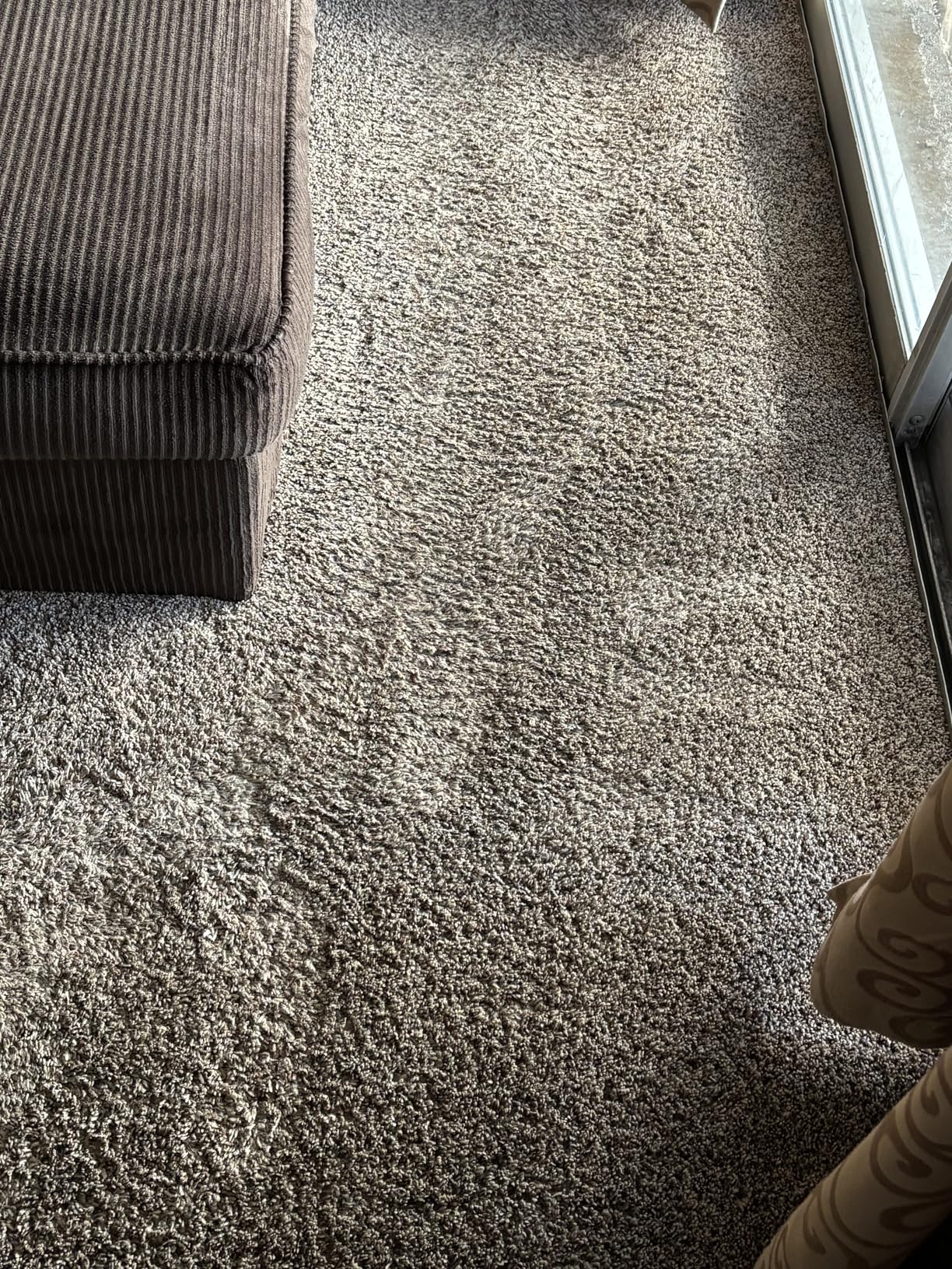 BISSELL Little Green Max Pet Portable Carpet and Upholstery Deep Cleaner, Car/Auto Detailer, with Self-Cleaning Tough Stain Tool and Pet Hair Removal Tool (3860) customer photo 1