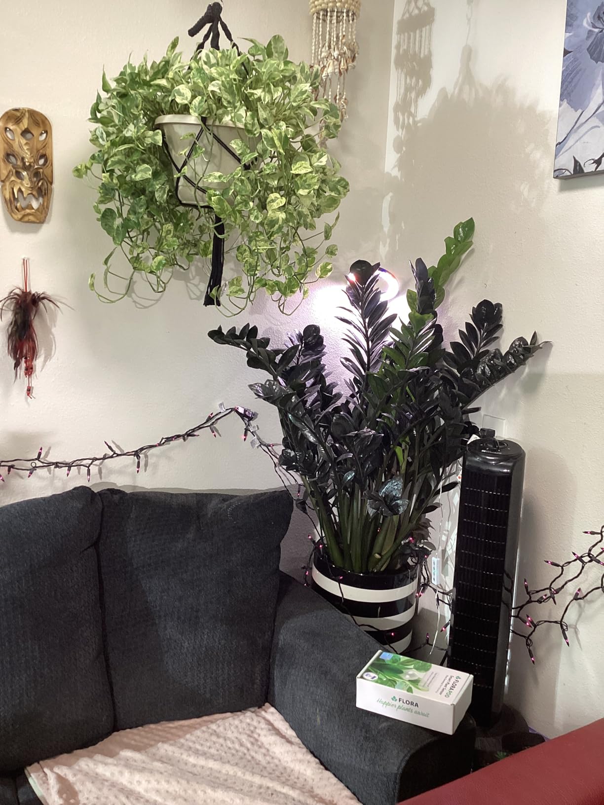 Flora Pod AI-Powered Smart Plant Monitor | for Indoor or Outdoor Plants | Personalized Alerts for Moisture, Temperature, Humidity, and Light customer photo 1
