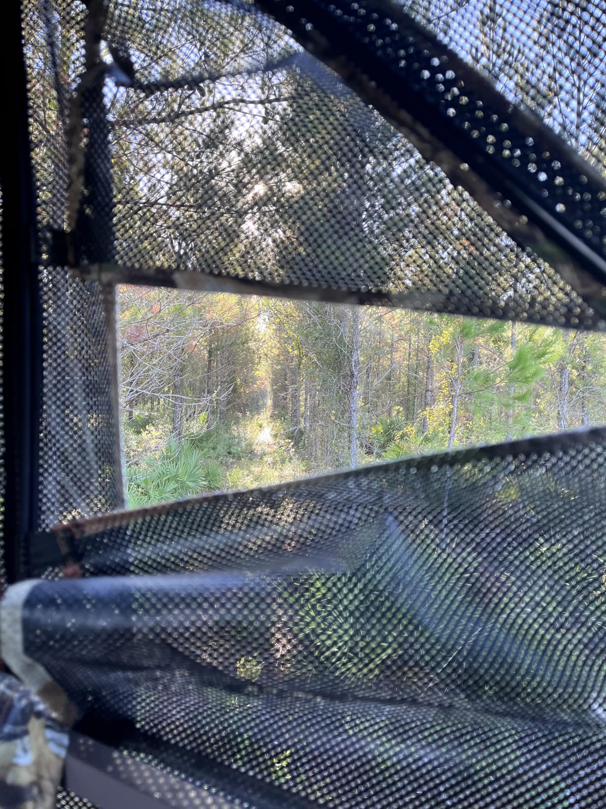 TIDEWE Hunting Blind 360 See Through with Large Open Door, Pop Up Ground Blind with Removable Curtain and Carrying Bag, Portable Resilient Tent (Forest Fade Camo) customer photo 2