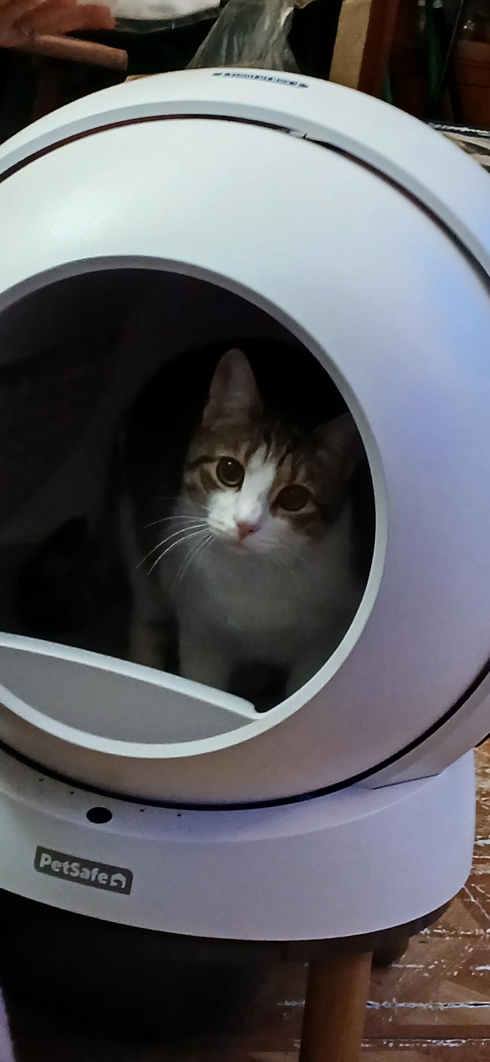 ScoopFree SmartSpin Self-Cleaning Cat Litter Box - Advanced Odor Control Technology, App Controlled with Health Monitoring customer photo 2