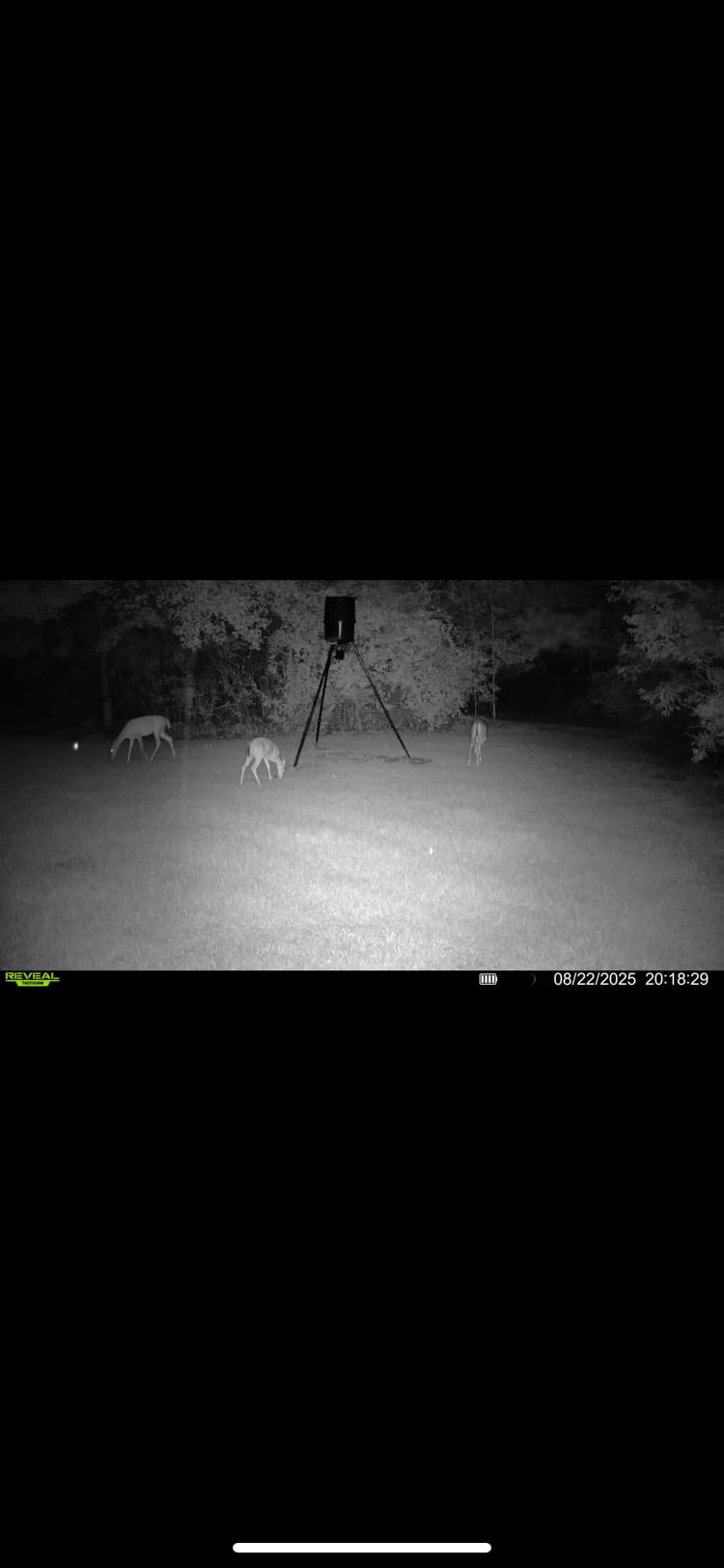 TACTACAM Reveal X Gen 3.0 Cellular Trail Camera: Auto Connect 4G LTE, 4K Photo, 1080p Video, Low-Glow IR Flash, No SD Card Needed, Long Battery Life customer photo 1