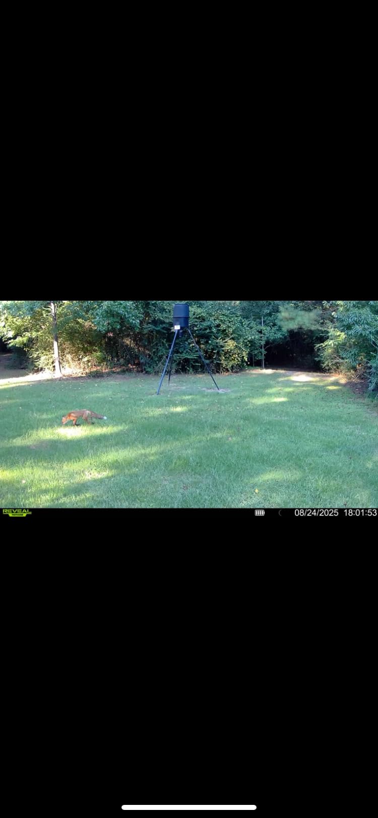 TACTACAM Reveal X Gen 3.0 Cellular Trail Camera: Auto Connect 4G LTE, 4K Photo, 1080p Video, Low-Glow IR Flash, No SD Card Needed, Long Battery Life customer photo 2