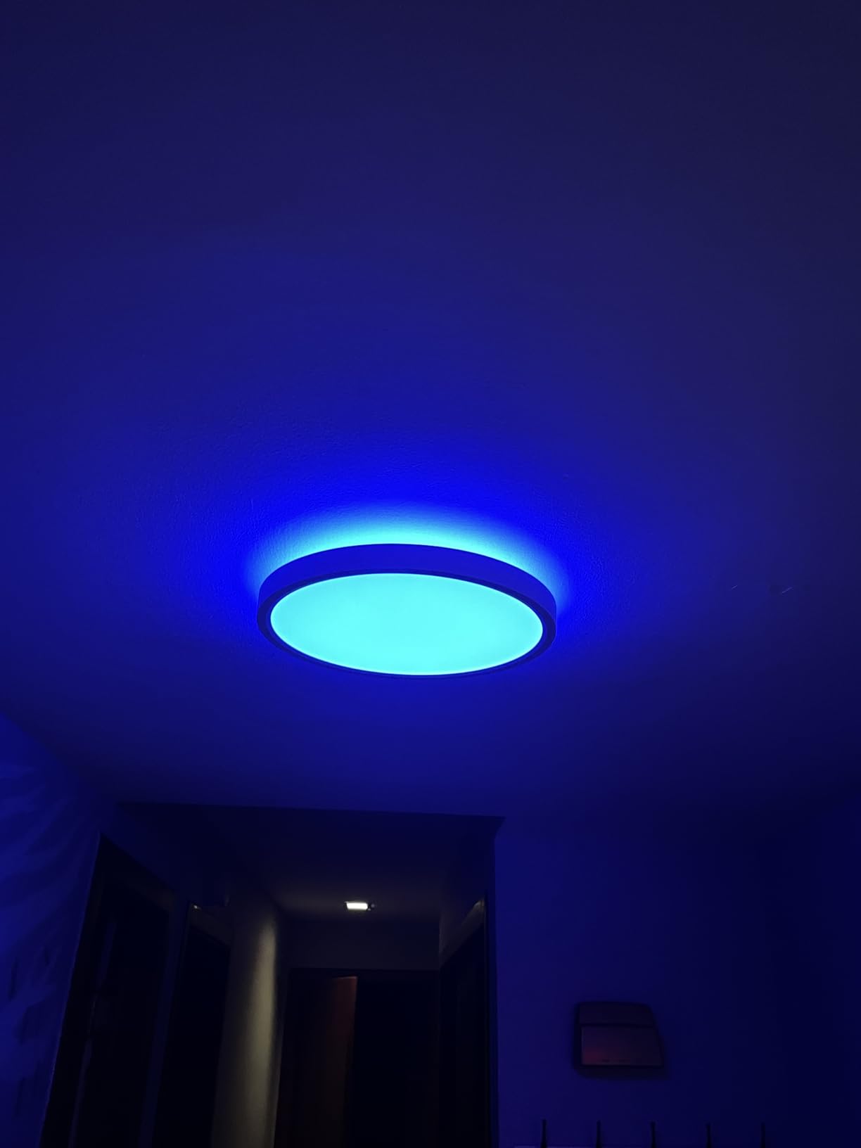 Govee Smart Ceiling Light, RGBIC LED Ceiling Light Fixture, 2400LM Flush Mount Light Fixture, DIY Colors, 12 Inch, 1 Pack (White 2 Packs) customer photo 2