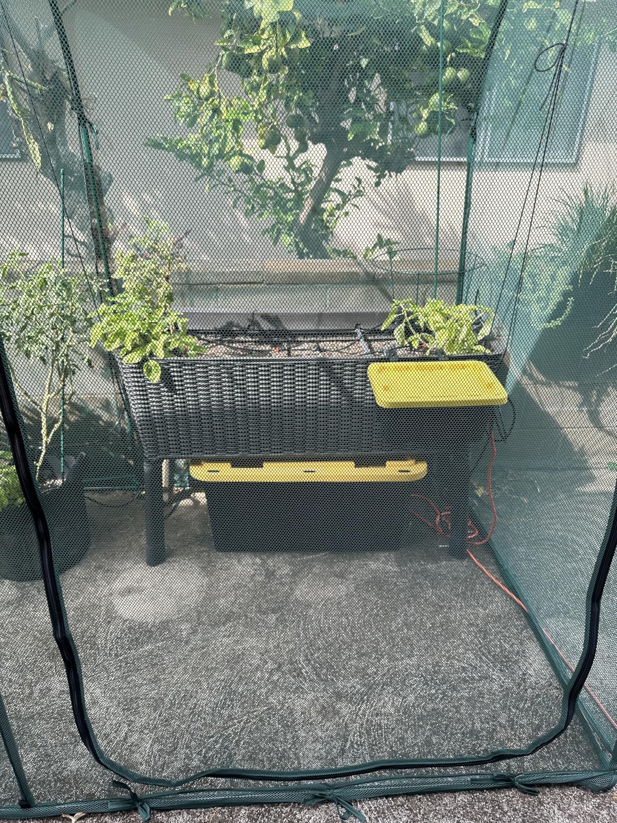 LetPot Automatic Watering System for Potted Plants, [Wi-Fi & App Control] Drip Irrigation Kit System, Smart Plant Watering Devices customer photo 1