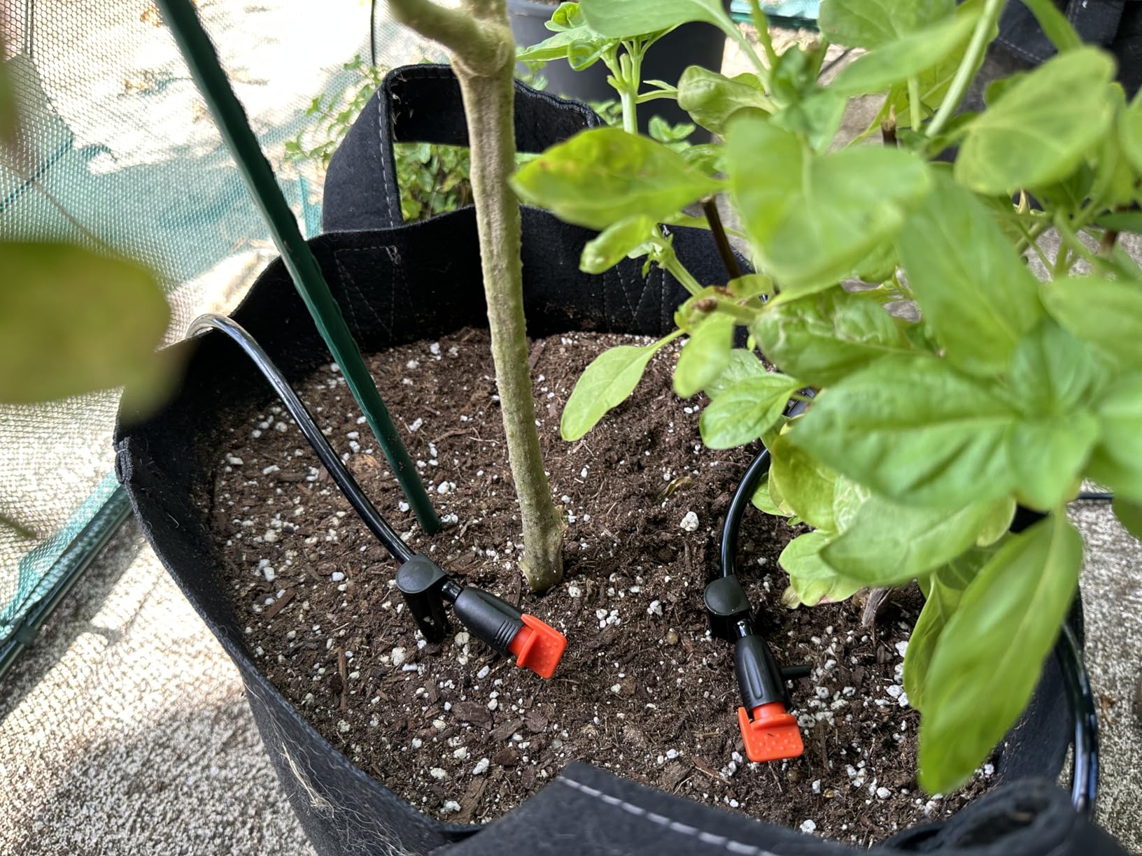 LetPot Automatic Watering System for Potted Plants, [Wi-Fi & App Control] Drip Irrigation Kit System, Smart Plant Watering Devices customer photo 2