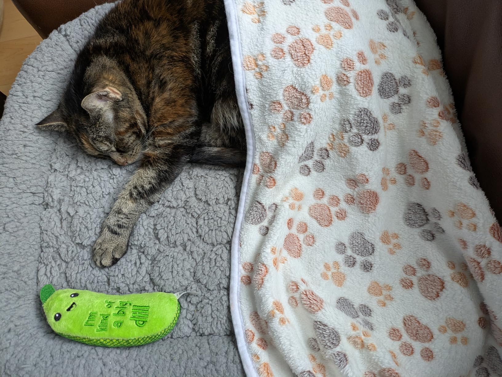 Mora Pets Self Warming Cat Bed Self Heating Pet Pad with Bolster and Foam Washable Removable Cover Non Slip Thermal Sherpa Fabric Pet Mat Grey 20 Inch customer photo 2