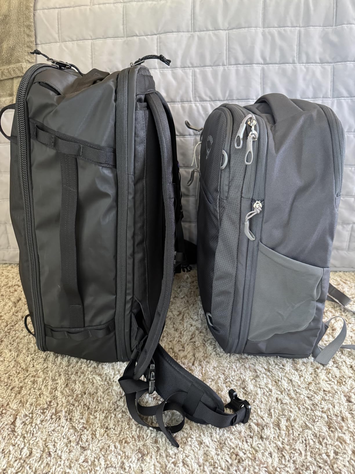Osprey Daylite Expandable 26+6 Travel Pack, Night Shift Blue customer photo 1