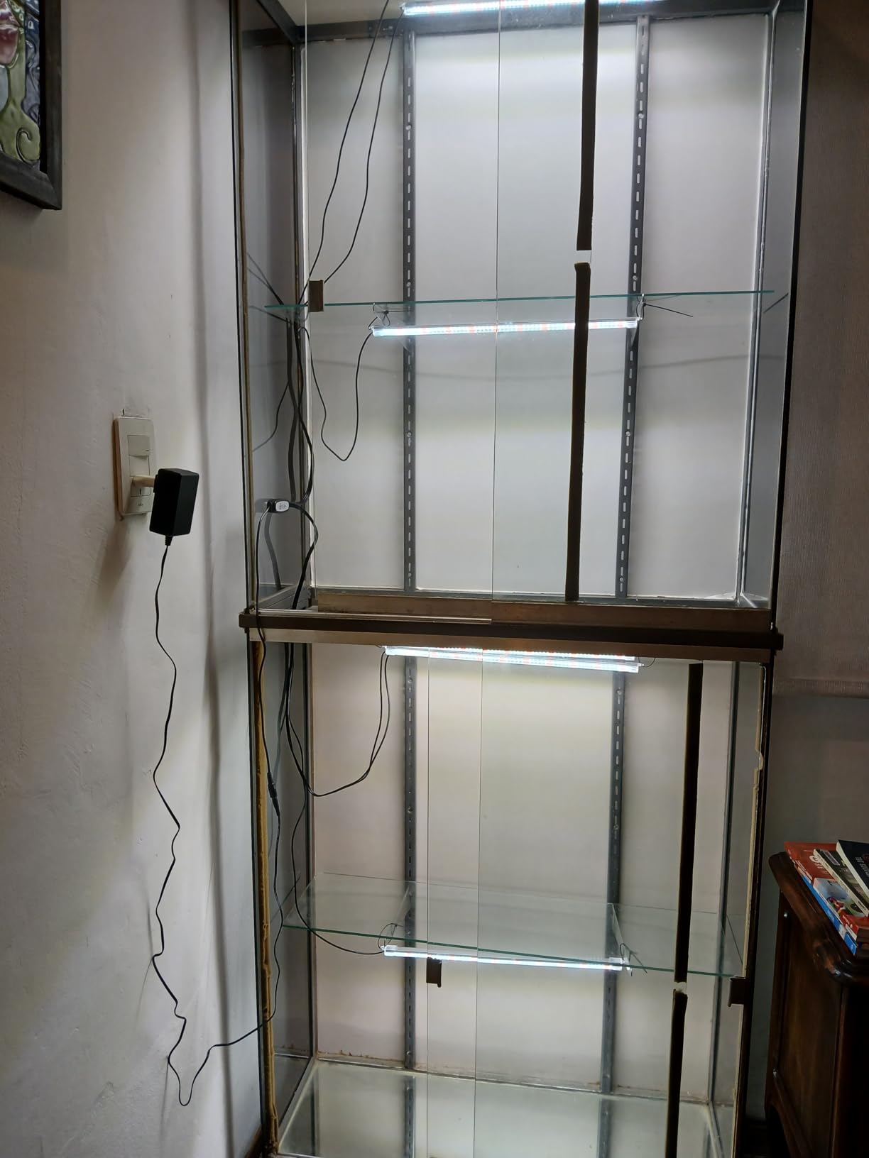 16'' 6 Bars Grow Light Strips for Indoor Plants with Auto ON/Off Timer 6/12/18H, 5 Dimmable Levels for Shelves Plant Growing(Pack 1) customer photo 1
