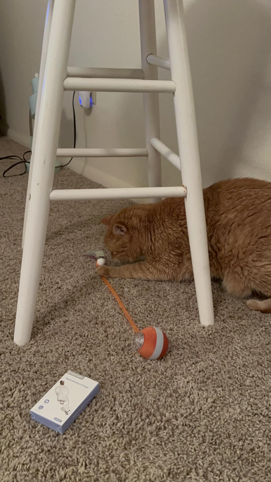 Interactive Cat Toys for Indoor Cats, The 3rd Generation Agile Moving Cat Ball with Elastic Mesh Tail, Automatic Kitten Toys for Bored Indoor Cats, Motion Activated customer photo 1