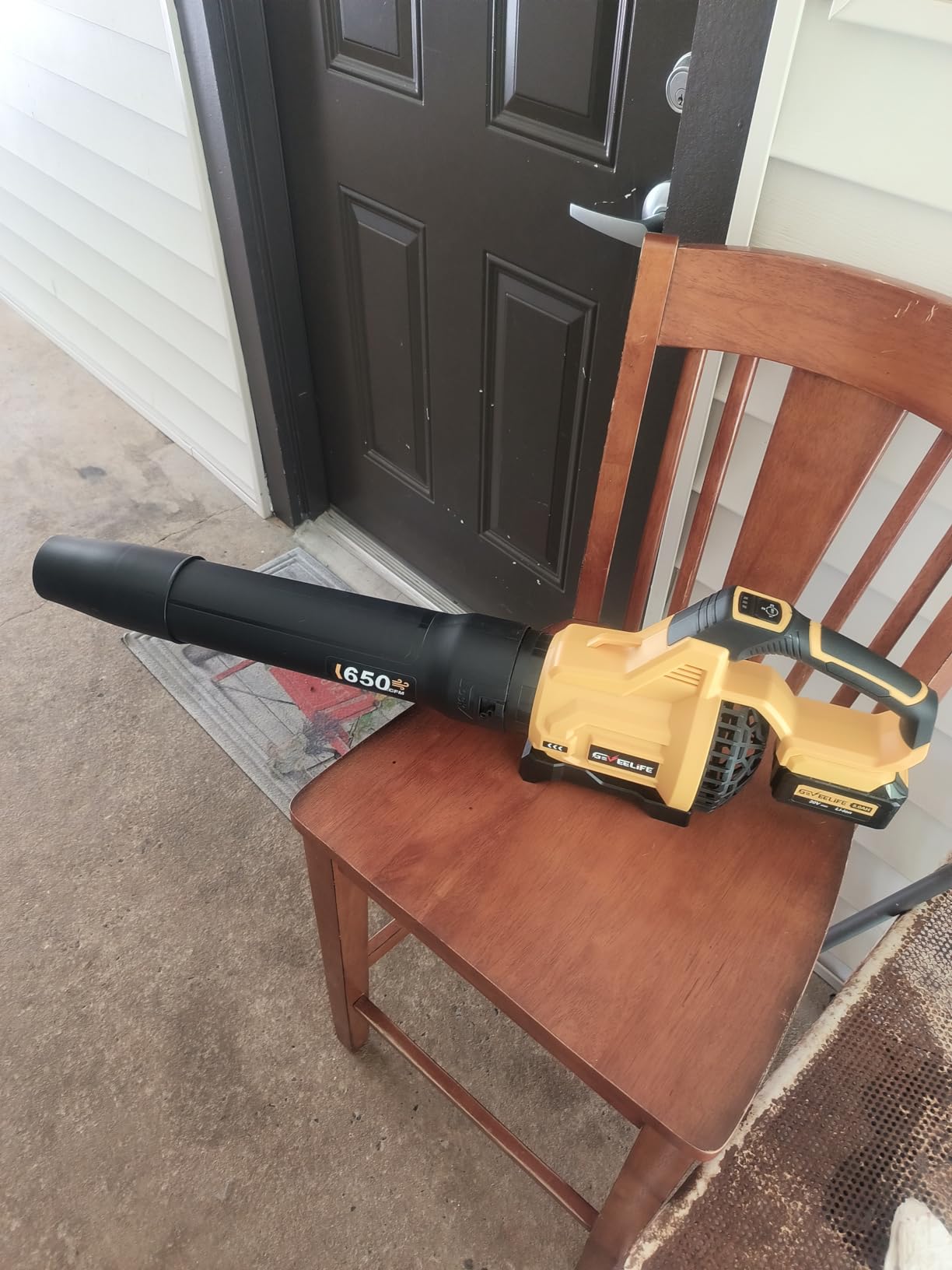 GEVEELIFE Leaf Blower Cordless, 650CFM & 3 Speed Levels, Electric Cordless Leaf Blower with 2 * 5.0Ah Battery Powered, Blowers for Lawn Care, Yard, Blowing Leaves, Dust, Snow customer photo 1