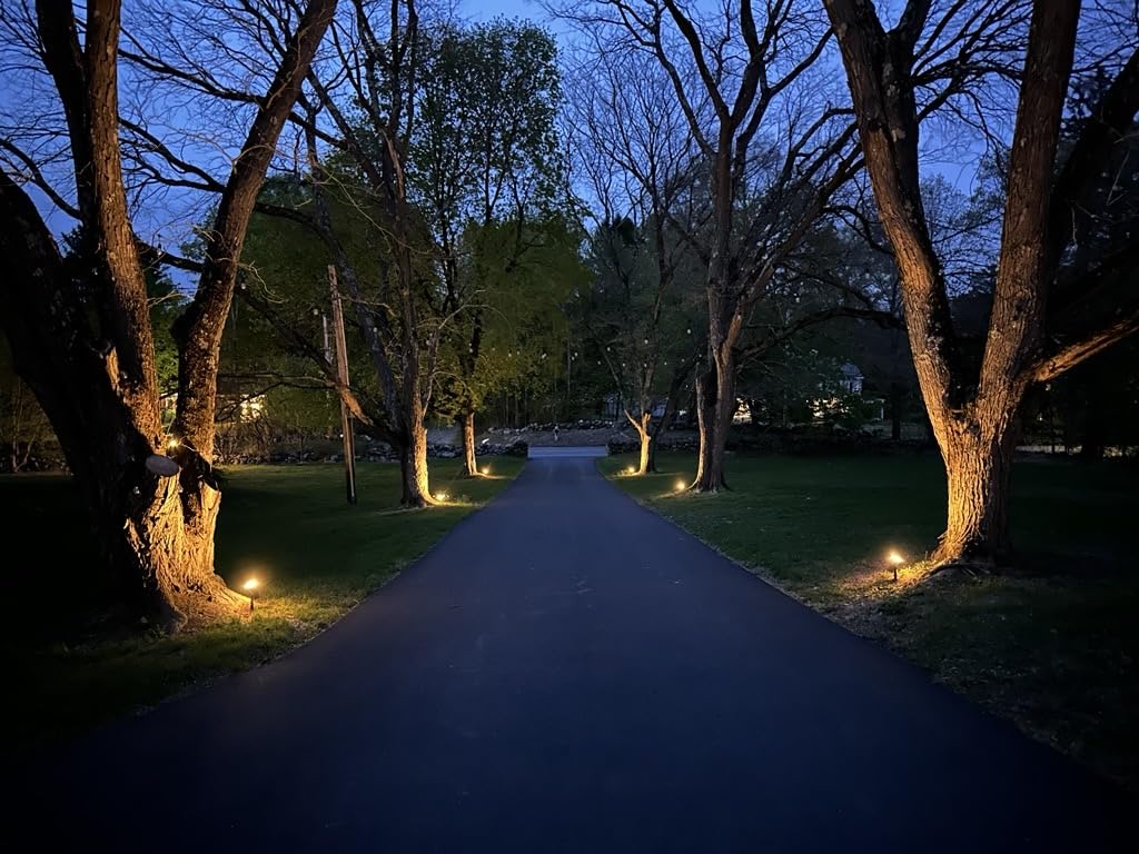 Linkind Smart Solar Spot Lights Outdoor SL5C, Solar Lights Outdoor Spotlight Cool/Warm White/Color Changing, APP/Voice Control IP67 Landscape Lighting for Yard, Garden, Pathway(8 Pack) customer photo 2