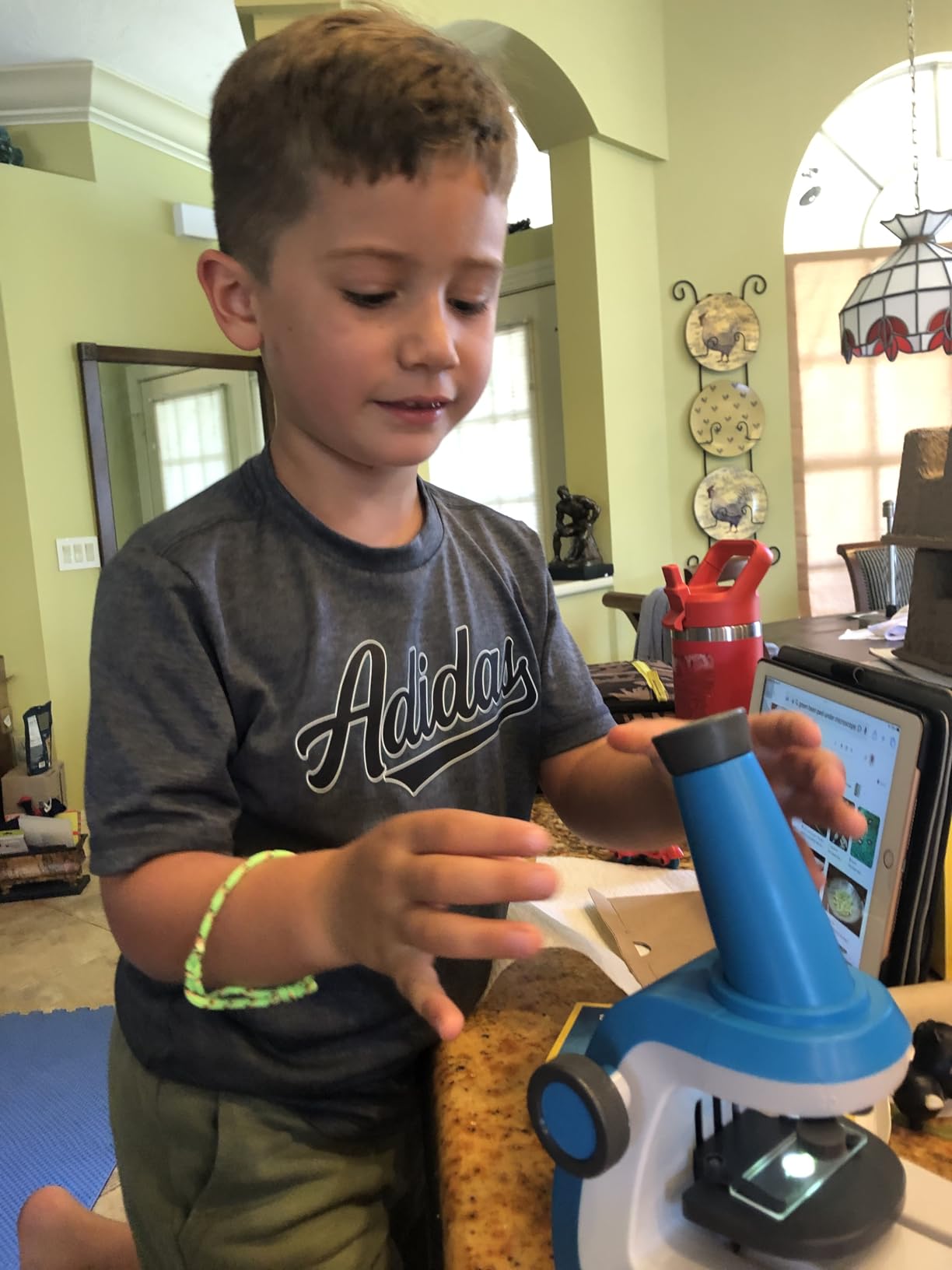 National Geographic Junior Microscope for Kids- Kit Includes Up to 250x Magnification Handheld Mini Attachment, 12 Slides, Lab Guide, Science Toy for Ages 6-12, STEM Project customer photo 2