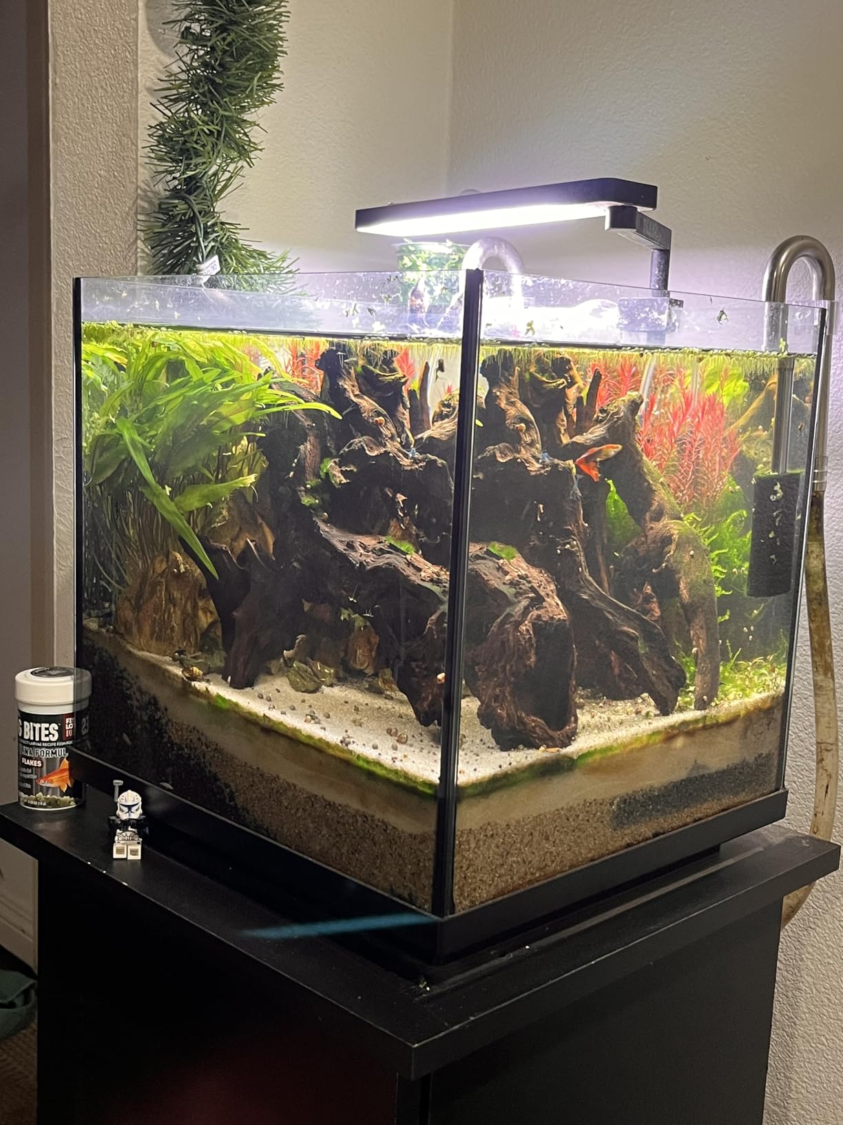 AMOSIJOY 265GPH Ultra-Quiet Canister Filter, 3-Stage External Aquarium Filter with Free Media for Large Fish Tanks and Aquariums customer photo 2