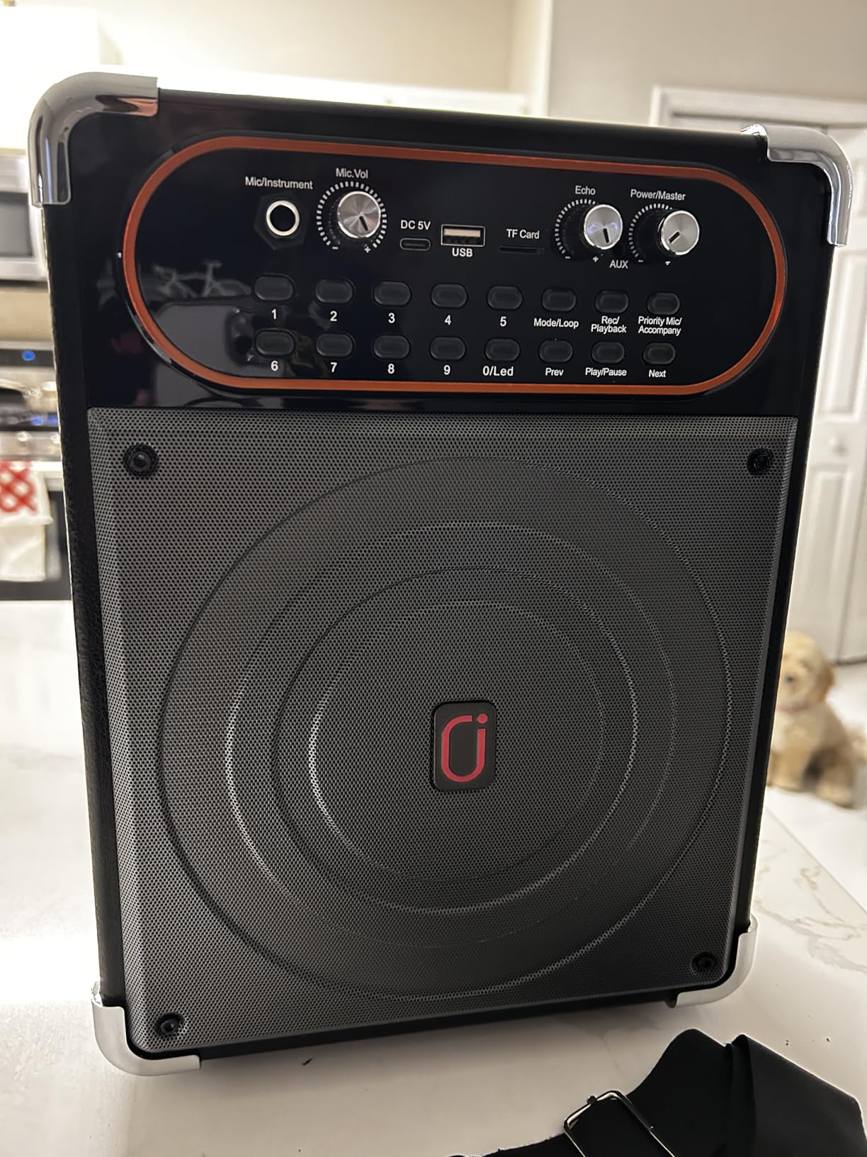 Karaoke Machine, Portable Bluetooth 5.3 Speaker with 2 Wireless Microphones for Adults, PA System with Echo Adjustment, Support TWS/TF Card/USB/AUX/TVs Connected, Monitor, Speaker Subwoofer Parts customer photo 2