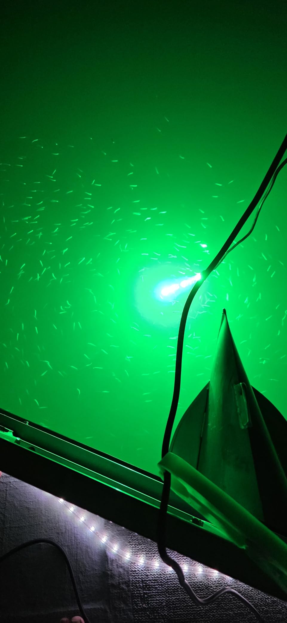HUSUKU FS0-2 LED Underwater Fishing Light, 12V & 110V 16inch 200W 20,000LM 16.4FT Cord Green Night Fishing Finder, Glowing Fish Attractor, IP68 Submersible Boat Lamp for Snook Crappie Squid Shrimp customer photo 2