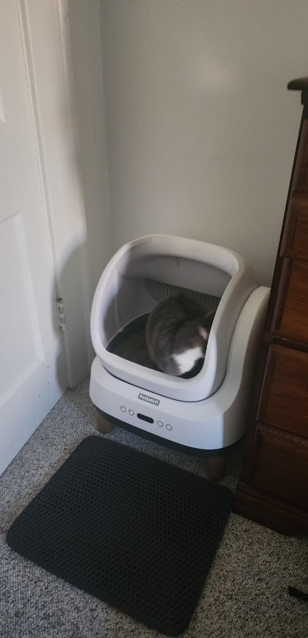 ScoopFree OpenSky Automatic Self-Cleaning Cat Litter Box - Hands-Free Cleaning - Odor Control Litter System - App Controlled with Health Monitoring - Multi-Cat Compatible customer photo 1