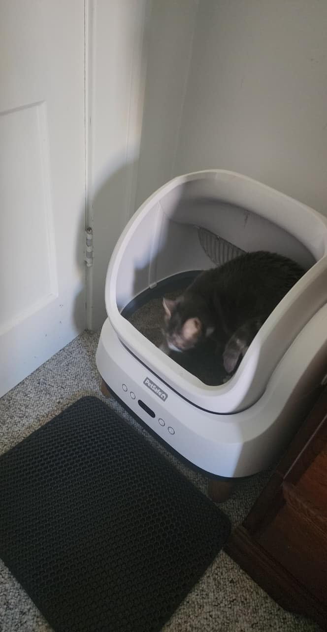 ScoopFree OpenSky Automatic Self-Cleaning Cat Litter Box - Hands-Free Cleaning - Odor Control Litter System - App Controlled with Health Monitoring - Multi-Cat Compatible customer photo 2
