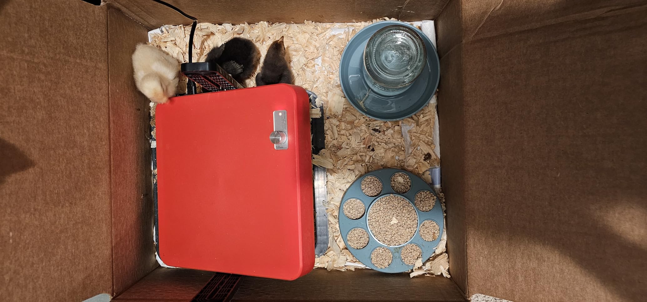 Tepsmigo Chicken Coop Heater, Chicken Heater, Brooder Plate for Chicken Coop Accessories, with Adjustable Temp, Height and Angle, Chicken Heater for Coop, Temp Pet Warmer for Ducklings Kitten Puppy customer photo 2