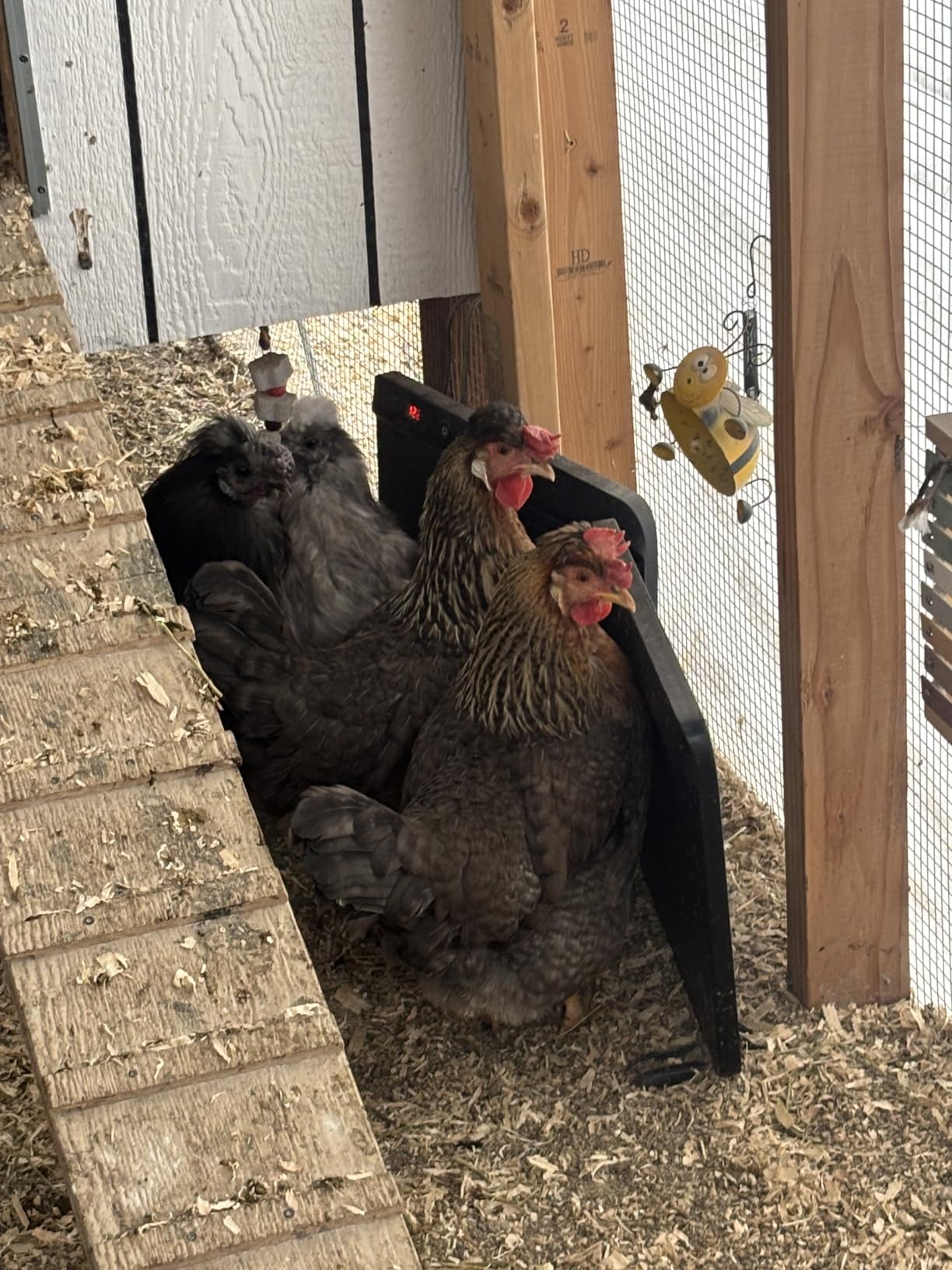 Smart Chicken Coop Heater with Efficient Thermostat, Compatible with Timers & Temp Controllers, 200W Safe Inside Radiant Flat Panel Warmer, Remote-Adjustable for Pets & Animals in Winter customer photo 1