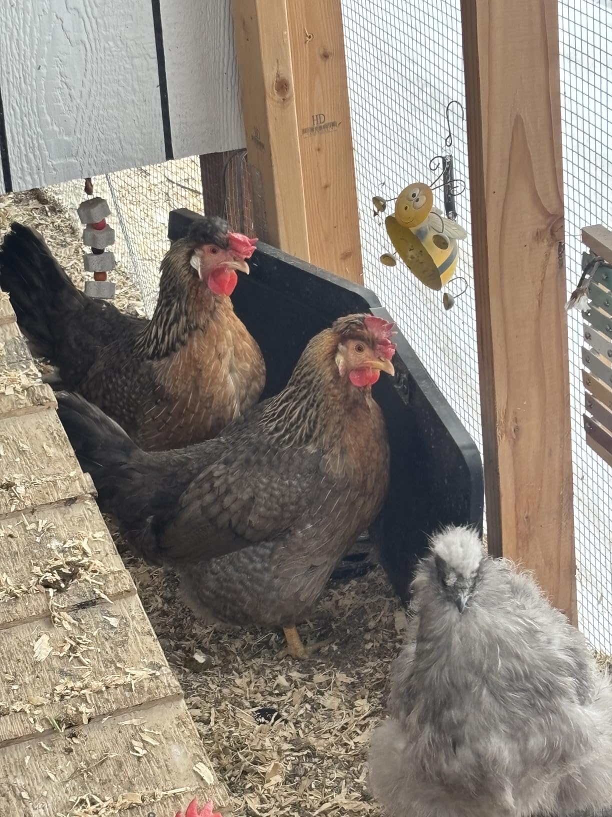 Smart Chicken Coop Heater with Efficient Thermostat, Compatible with Timers & Temp Controllers, 200W Safe Inside Radiant Flat Panel Warmer, Remote-Adjustable for Pets & Animals in Winter customer photo 2