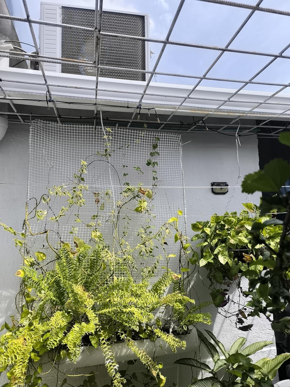 MIXC 100Ft 1/4