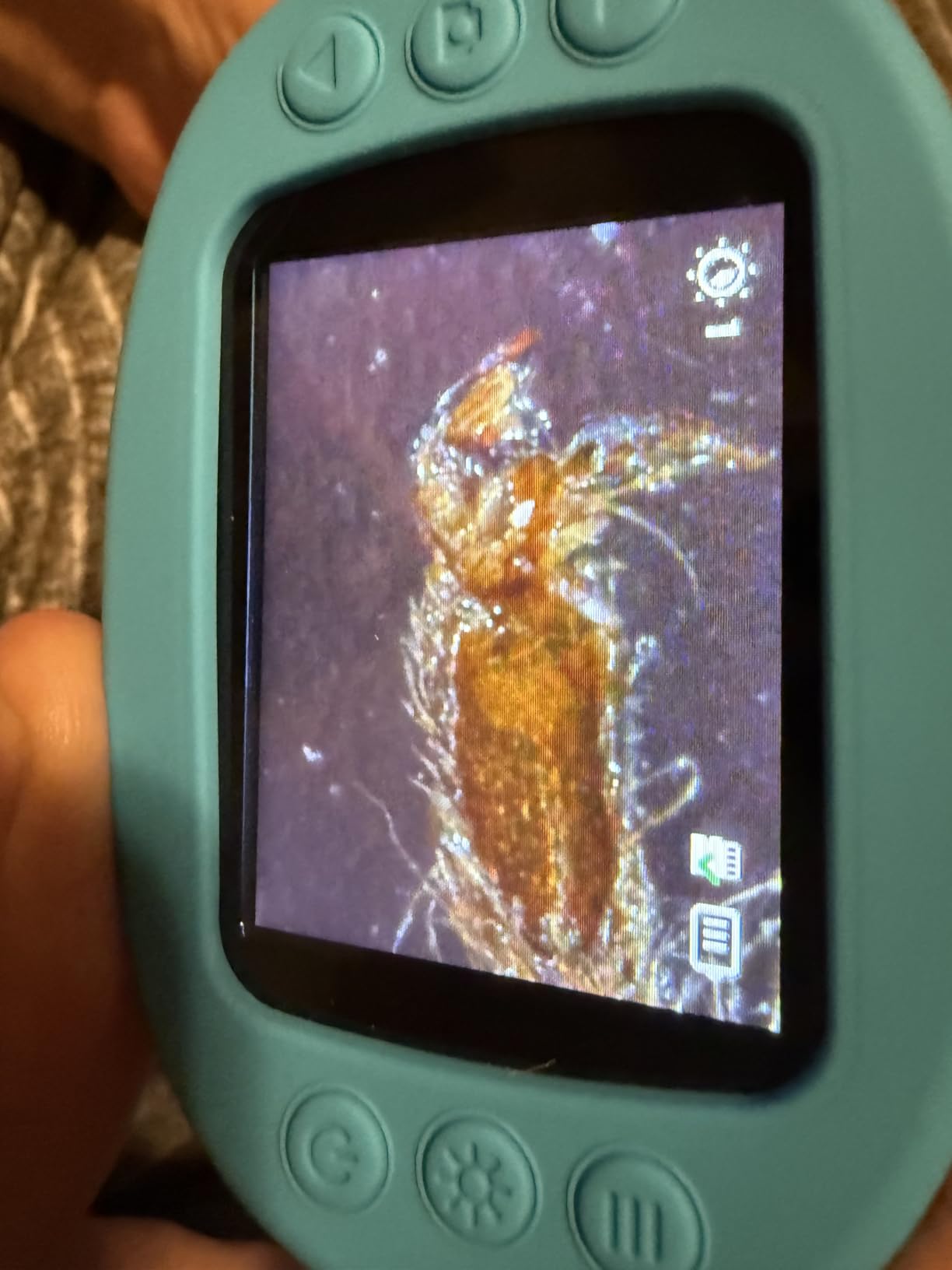 Odatay 4K 1000X Digital Microscope for Kids with Long Distance Viewing & 2.4