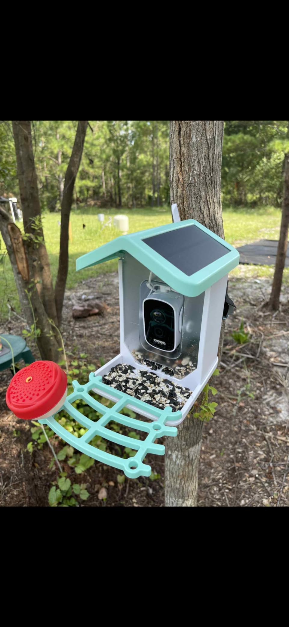 Smart Bird Feeder with Camera, Solar Powered Bird Feeder Camera for Outdoors, AI Bird Identification, Auto Capture & App Notification, Waterproof Bird House for Backyard Garden Present customer photo 2