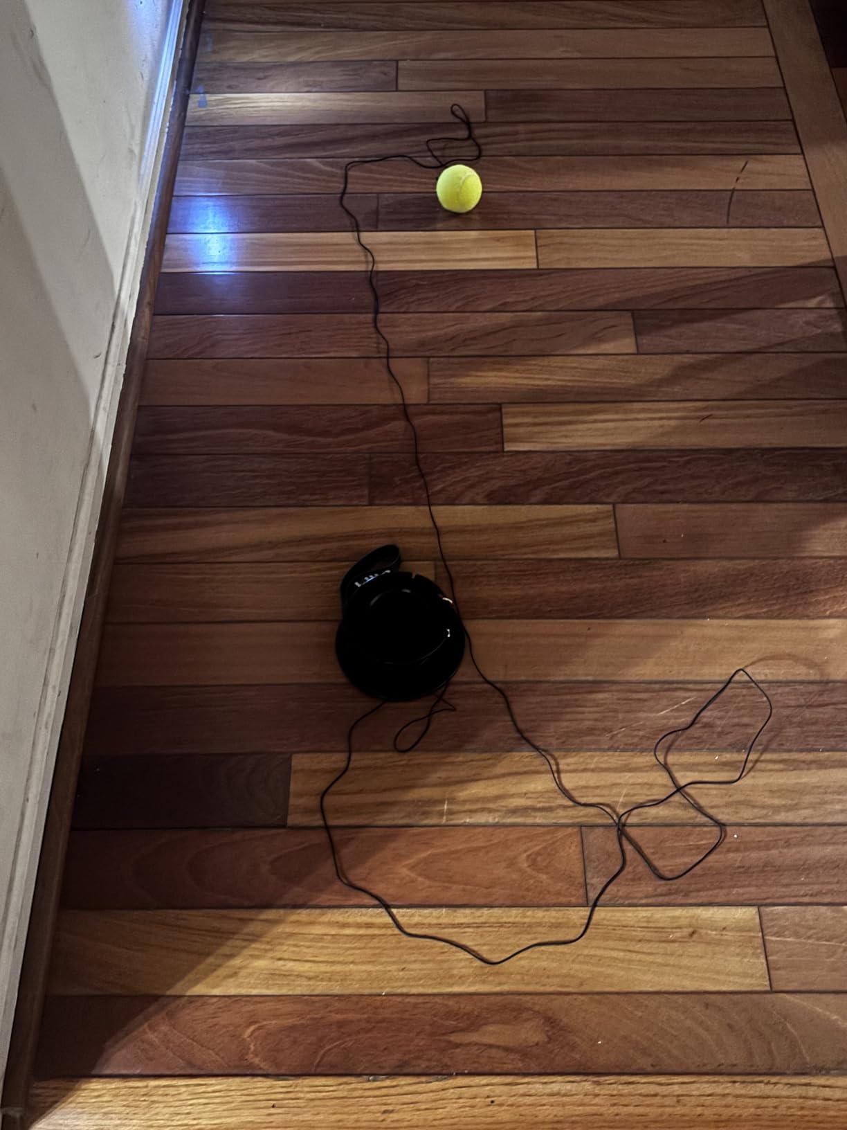 VAIIO Professional Tennis Trainer - Full Metal Portable Solo Rebounder with 3 High-Elastic String Balls, Ideal for Adults, Kids, Beginners & Advanced Players customer photo 1