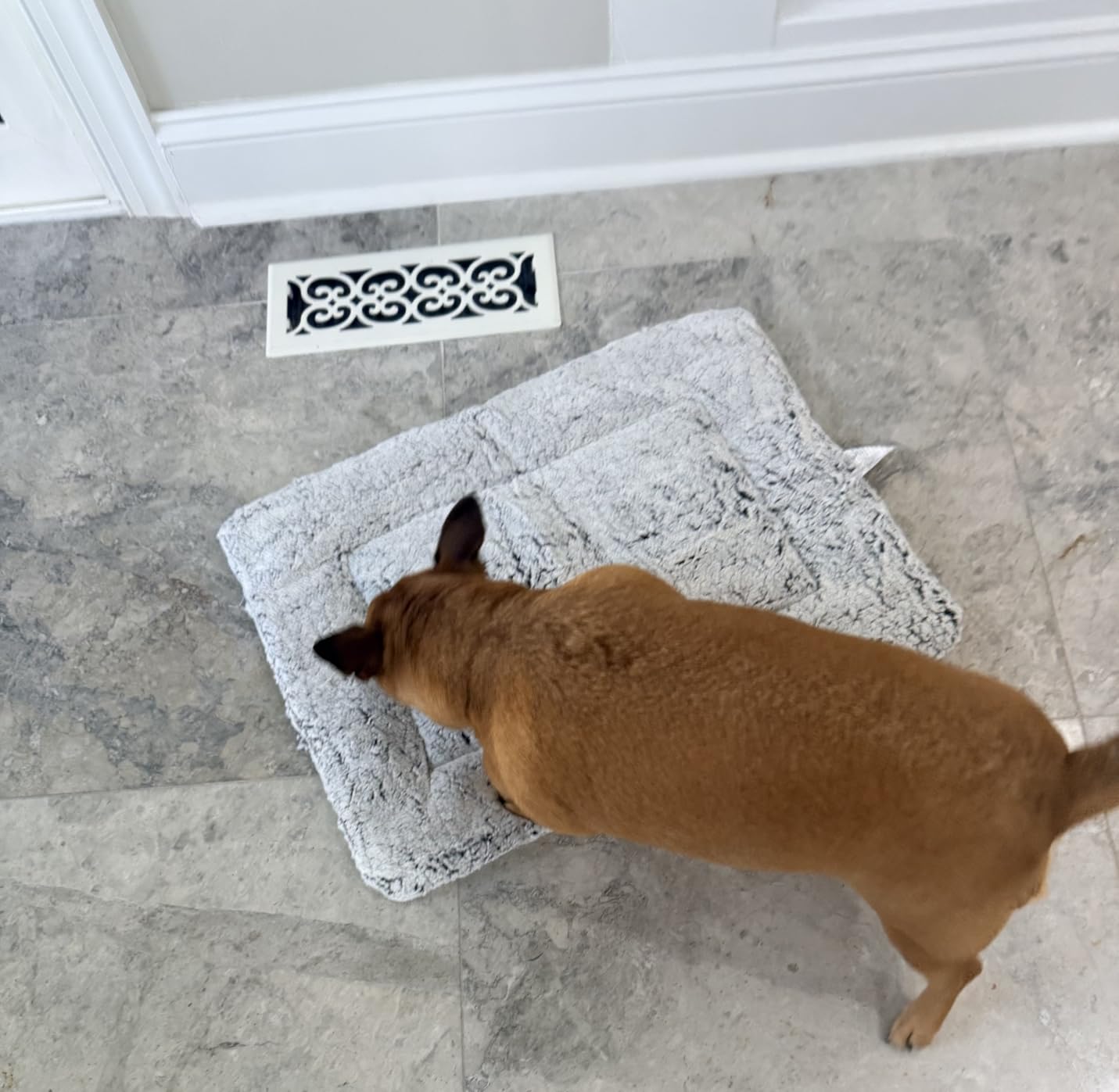 Dog Cooling Mat, Self Warming Cat Bed, Reversible Warm & Cooling Cat Bed, Winter Warm Cat Pad & Summer Cooling Cat Mat for Kittens & Small Dogs, Perfect for Crates, Beds & Sofas, Gray, 18