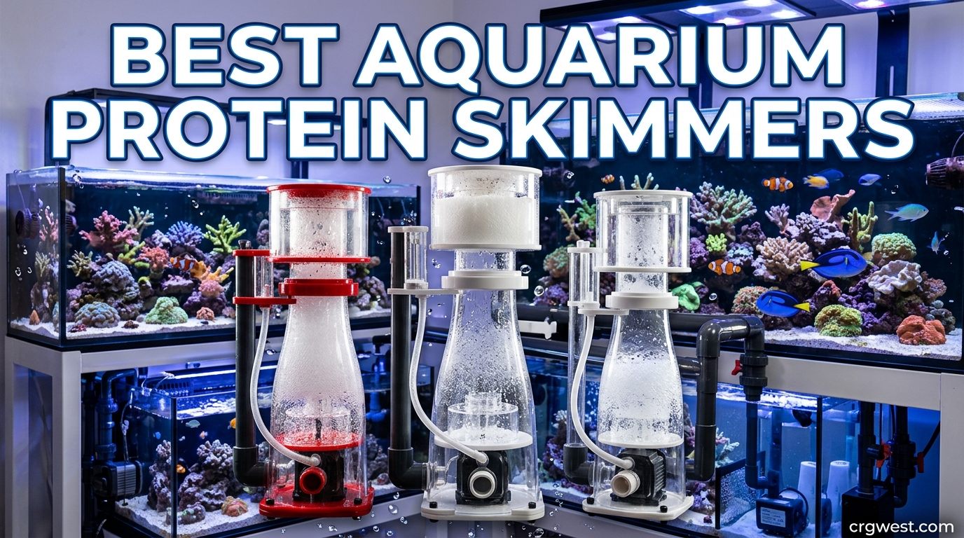 Best Aquarium Protein Skimmers