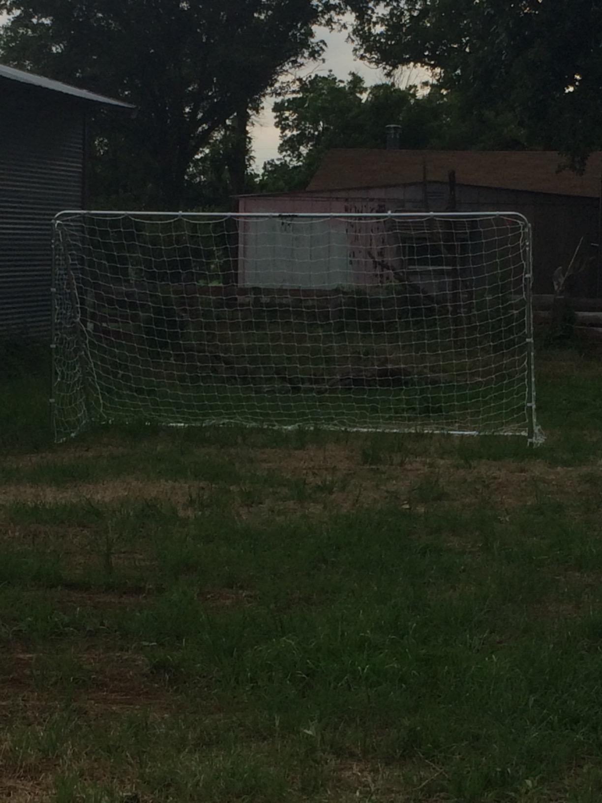 Franklin Sports Competition Soccer Goals - Backyard Portable Steel Soccer Goals - Adult + Youth Soccer Goal with Net + Ground Stakes Included customer photo 2