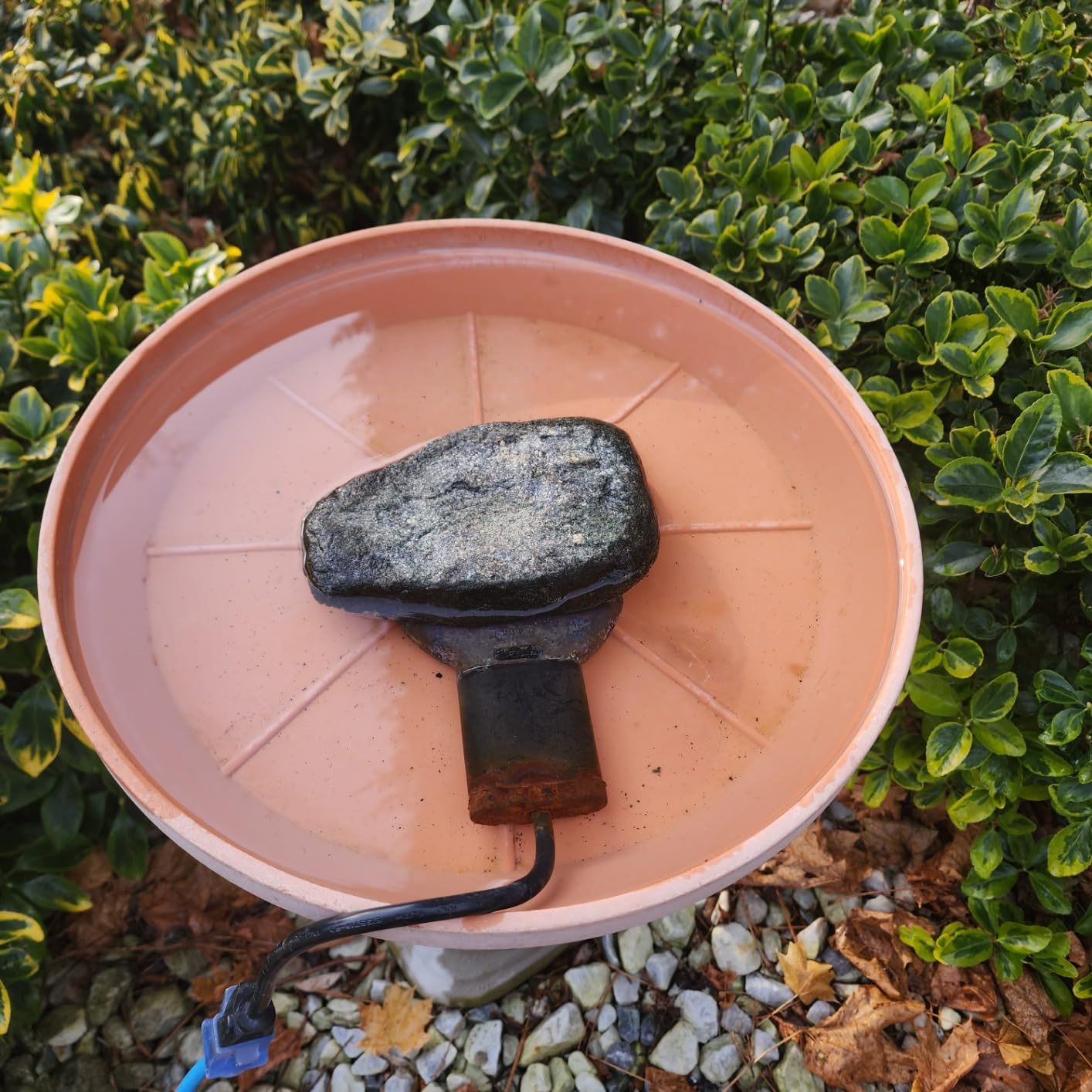 Farm Innovators C-50 Premium Cast Aluminum Birdbath Deicer, Electric Birdbath Warmer with Built-in Thermostat, 150W customer photo 2