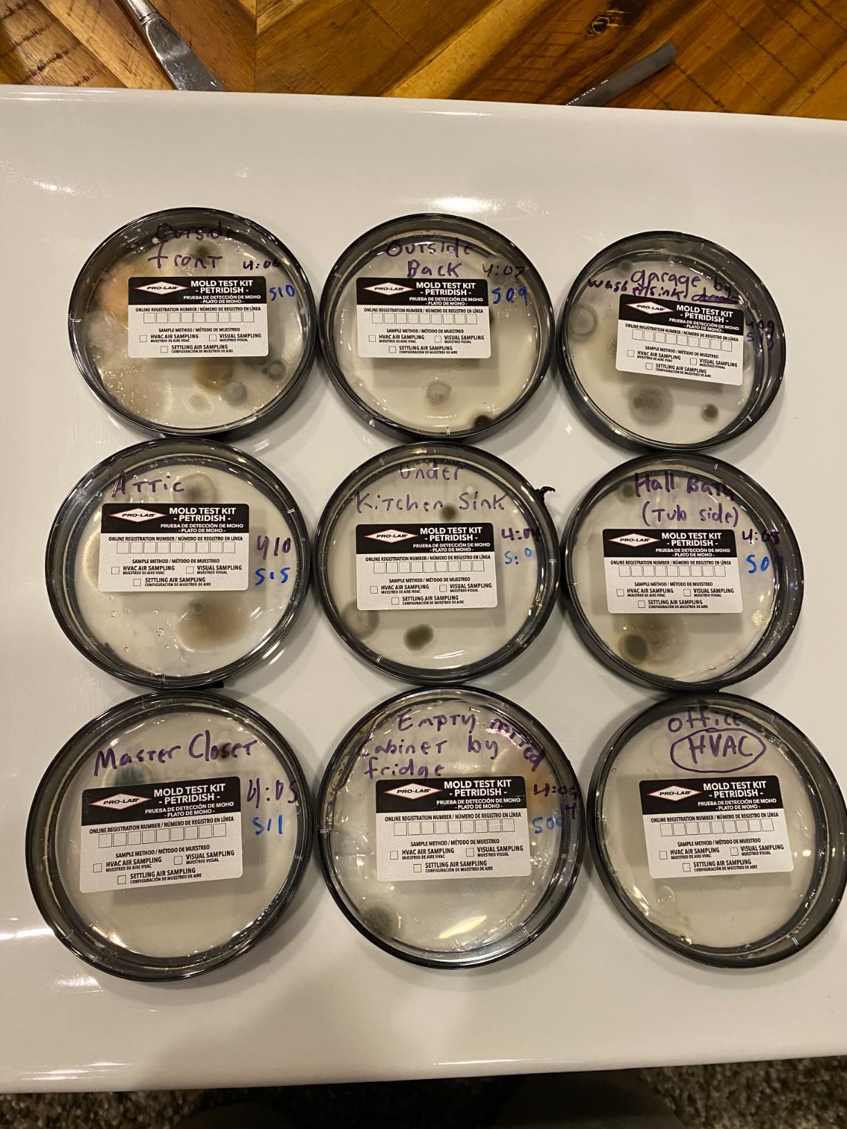 PRO-LAB DIY Mold Test Kit for Home Air Quality, Comprehensive Mold Detection with Expert Consultation, Pre-Paid Mailer, Detailed Emailed Report - Air & Surface Testing, 40 Lab Analysis Fee Required customer photo 1