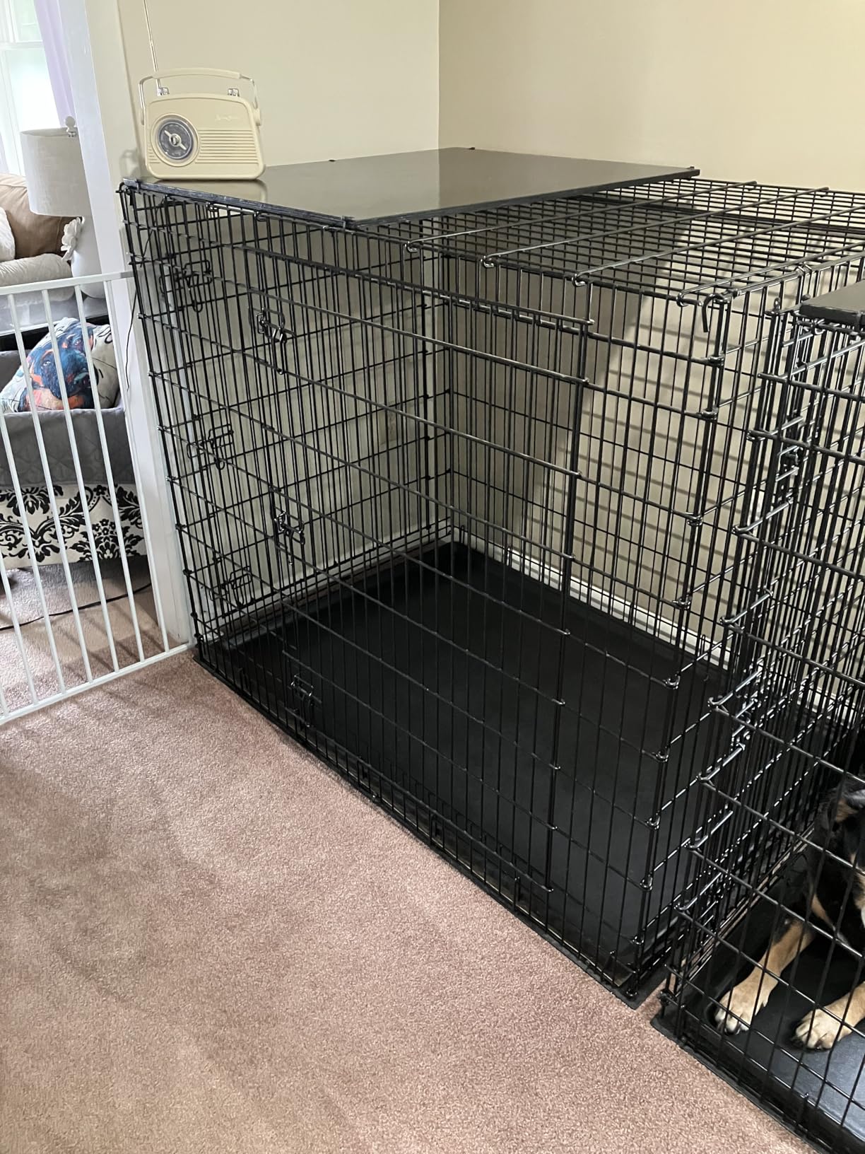 MidWest Homes for Pets 48-Inch iCrate Double Door Folding Dog Crate with Divider Panel, Leak-Proof Tray & Secure Latches customer photo 2