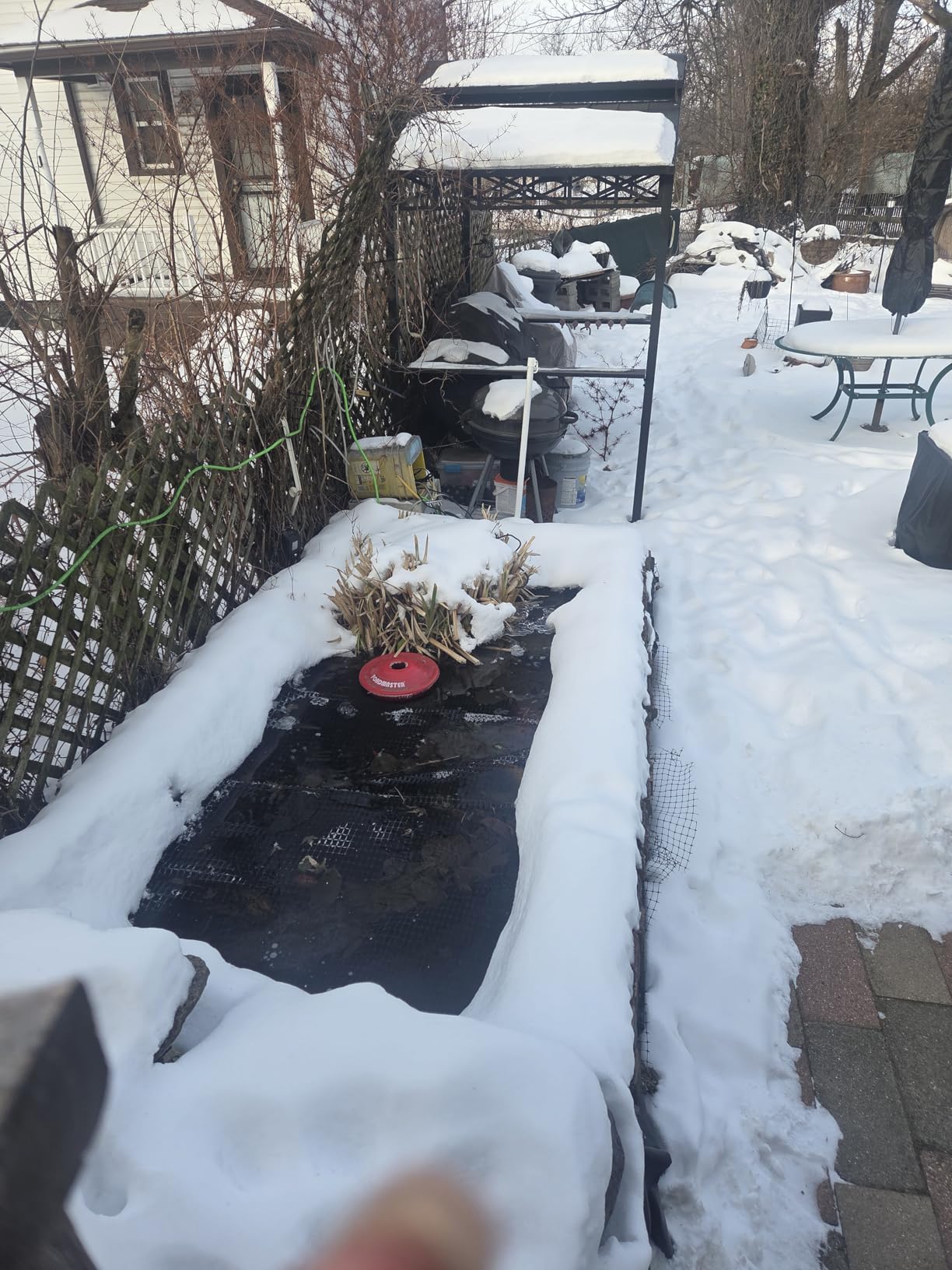 K&H Pet Products Pond Heater for Small Outdoor Ponds with Fish, Thermo-Pond Perfect Climate Submersible Deicer, Oxygen for Live Fish in Winter, Thermostatically Controlled, Safety Listed - 8in 300W customer photo 1