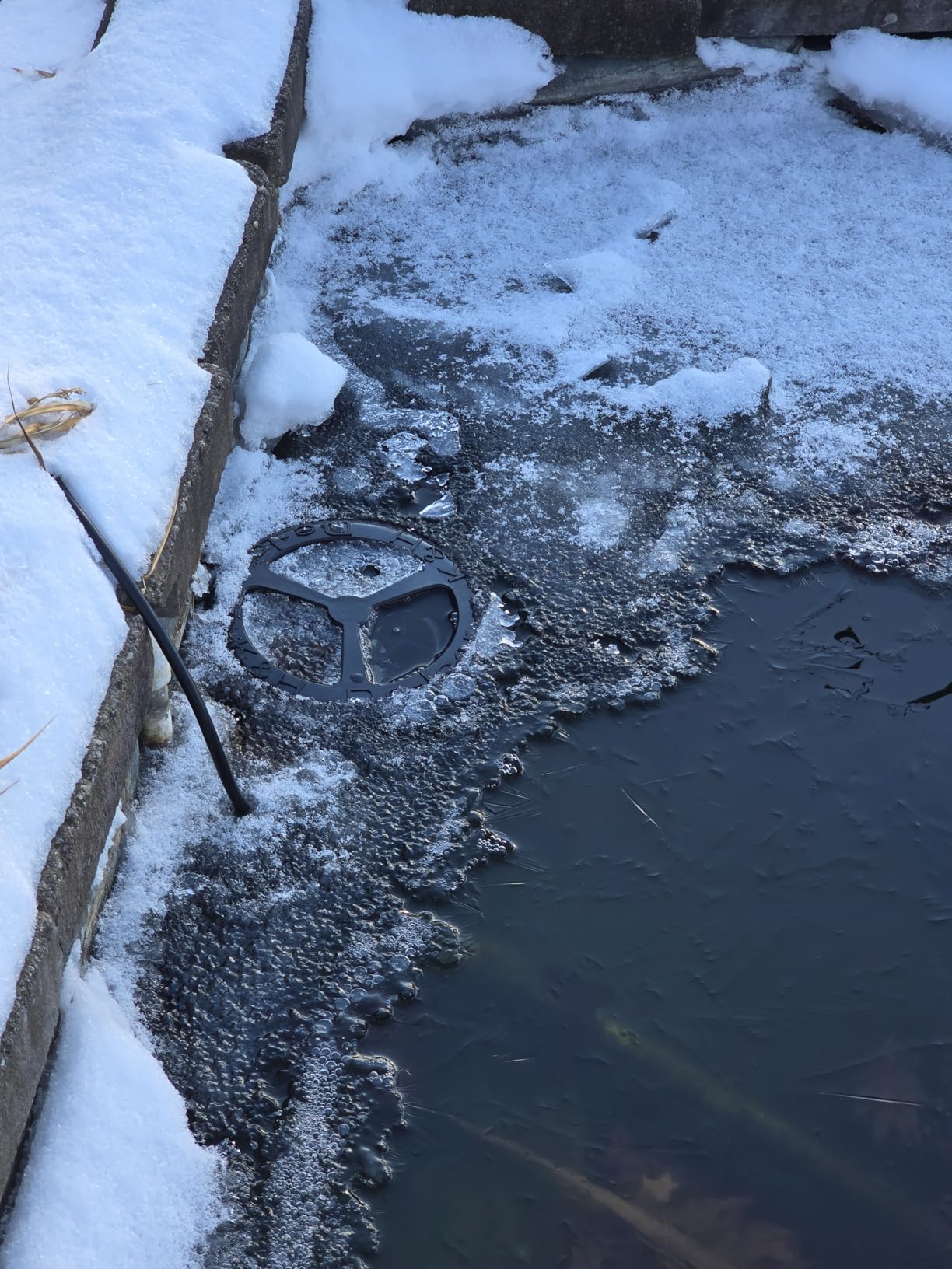 K&H Pet Products Pond Heater for Outdoor Ponds with Fish, Deluxe Thermo-Pond Perfect Climate Deicer, Winter Oxygen Exchange for Live Fish, Thermostatically Controlled, Safety Listed - 7in 750W customer photo 1