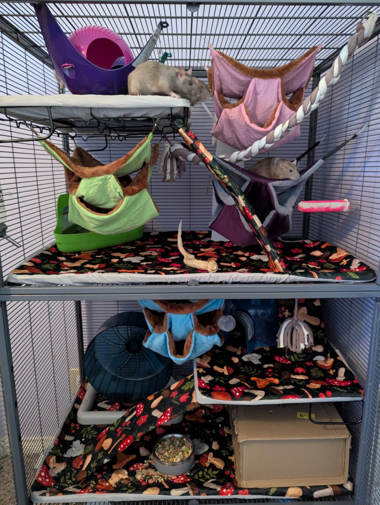 Critter Nation by MidWest Homes for Pets Double Unit Small Animal Cage, Habitat for Rats, Chinchillas, Ferrets, Sugar Gliders, Tool-Free Assembly, with Full-Width Doors, Shelves & Removable Base Pans customer photo 2