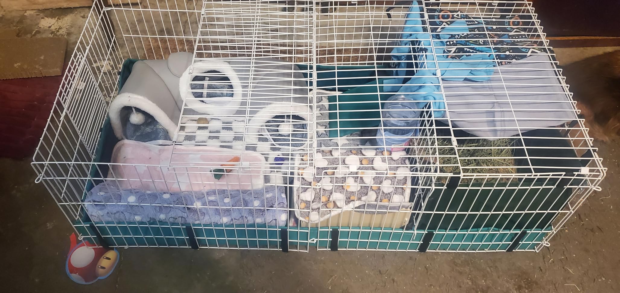 MidWest Homes for Pets Guinea Habitat Plus Cage, Includes Divider Panel and Hinged Top, Washable PVC Canvas Bottom, Expandable Small Animal Cage for Guinea Pigs, 171GHP customer photo 2