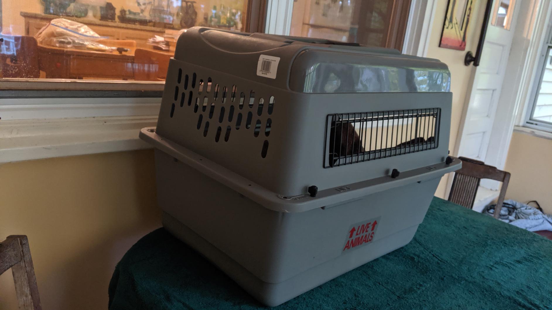 Petmate Sky Kennel IATA Airline Compliant Plastic Dog Crate For Air and Land Travel, Giant 48