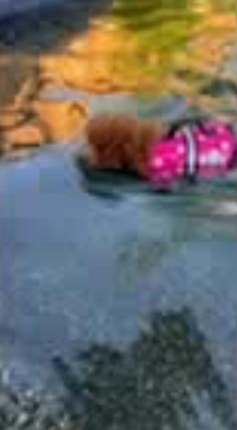 Paws Aboard Dog Life Jacket - Swimming Vest for Dogs, Adjustable, Reflective, Comfortable, Multiple Colors, Patterns, XX-Small to Extra Large Dog Swim Vest with Handle (Red, Large) customer photo 2