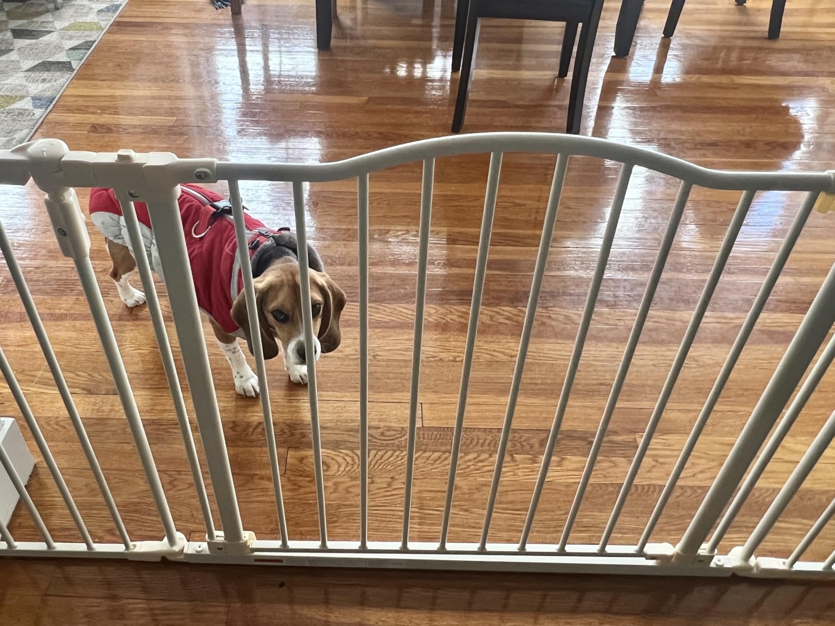 Toddleroo by North States - Deluxe Décor Safety Gate: Hardware Mounted Extra Wide Metal Baby Gate - Adjustable Child Gate - 38.3 to 72 Inches Wide - 30 Inches Tall - Matte Bronze customer photo 1