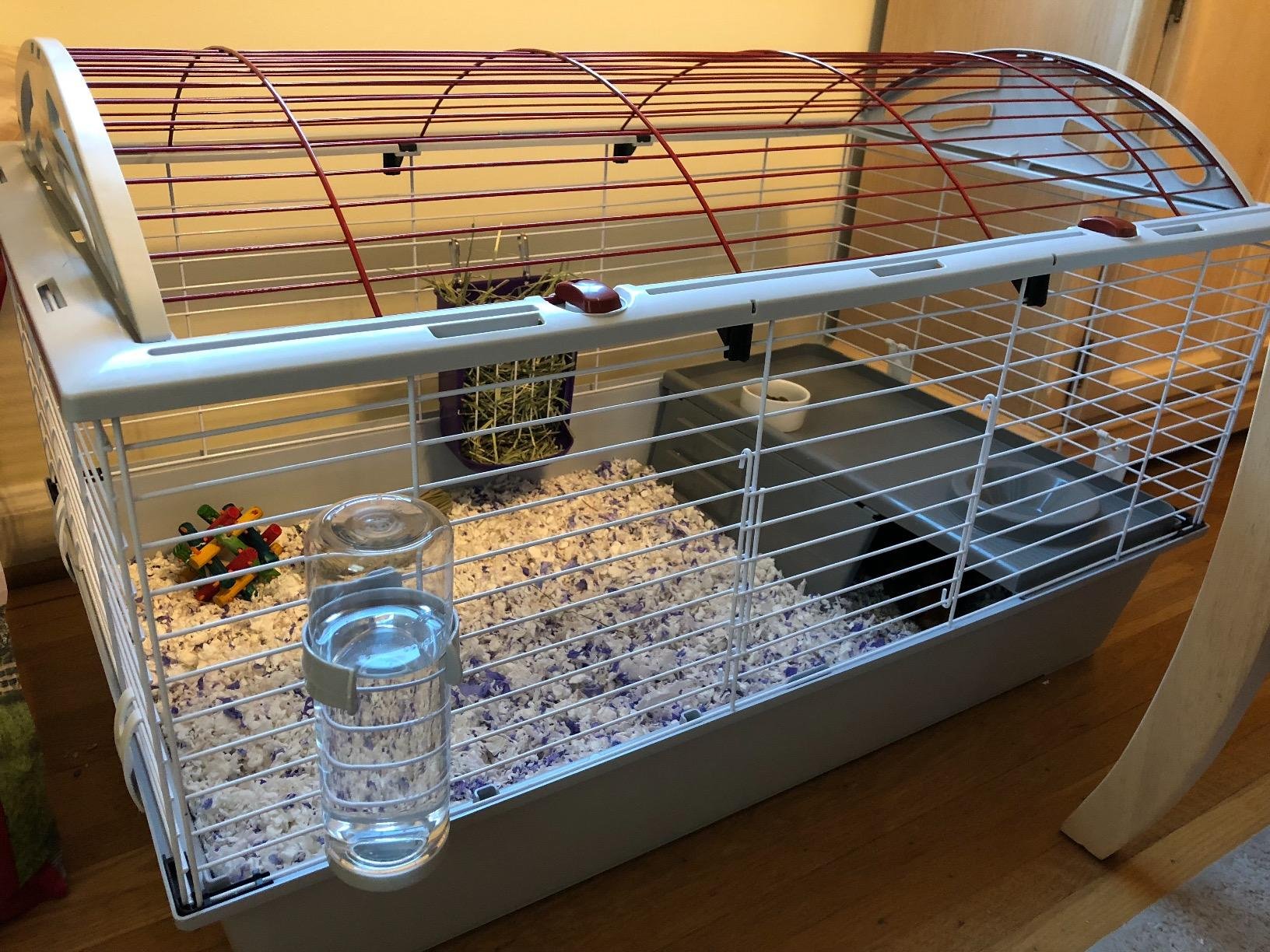 Living World Deluxe Hybrid Habitat, X-Large - Rabbit, Guinea Pig, Chinchillas, and Small Animal Cage customer photo 2