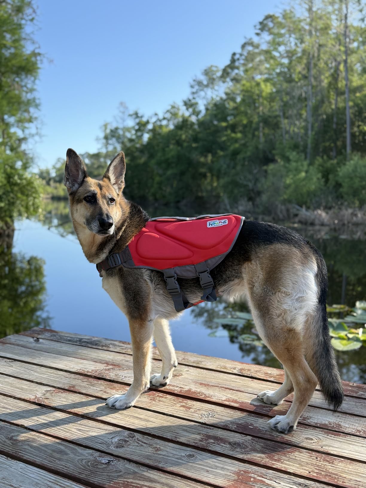 Outward Hound Granby Splash Orange Dog Life Jacket, Medium customer photo 2