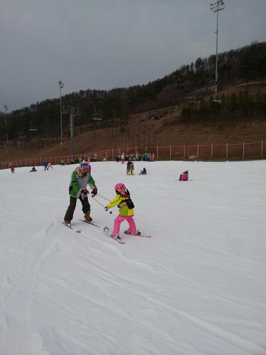 Launch Pad Wedgease Ski Tip Connector - Learn to Ski - Teaches Speed Control, Making a Wedge, Basic Turning - Portable and Durable - Perfect for Beginners customer photo 1