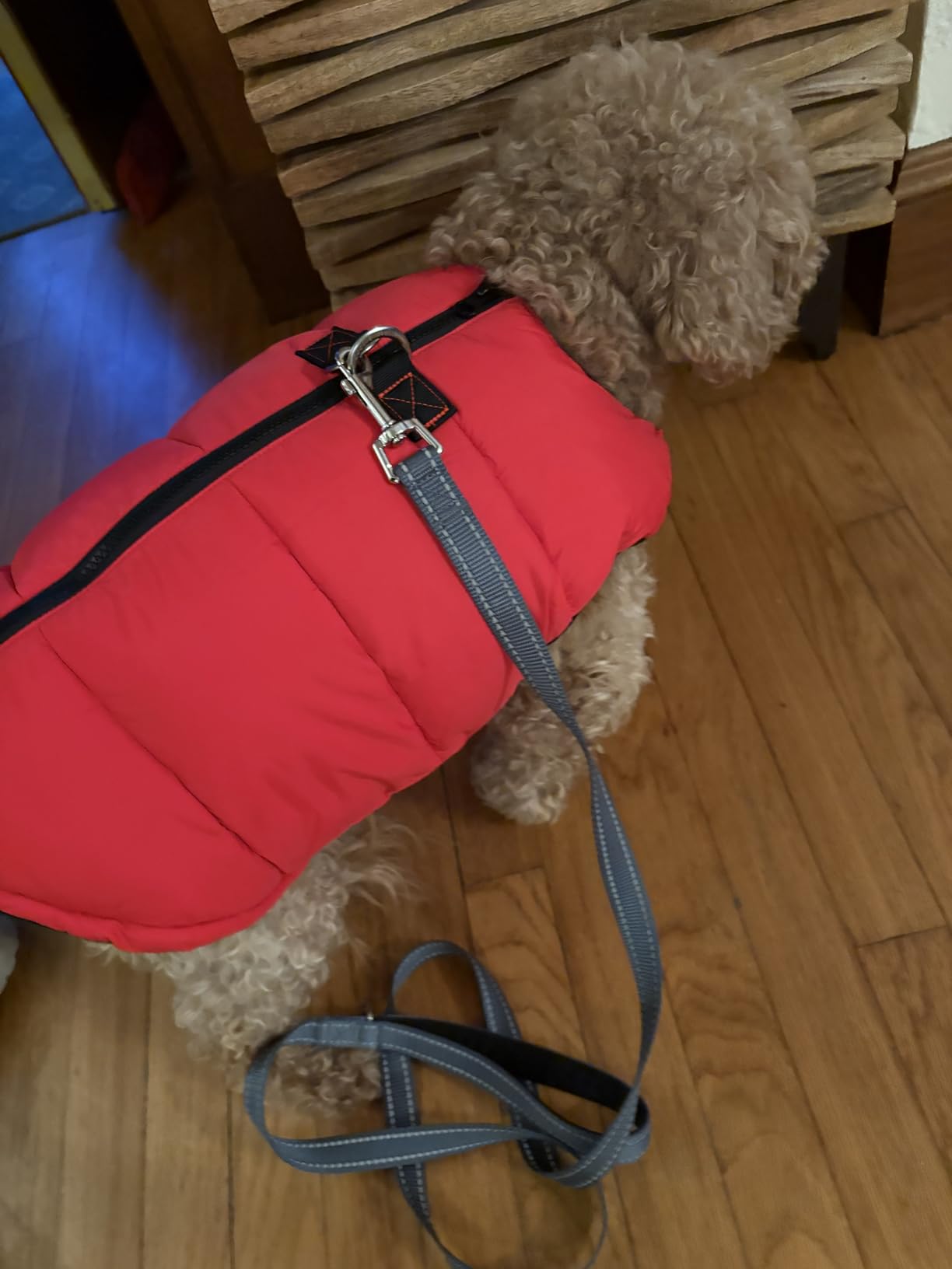 Gooby Green Polyester Dog Jacket - Large, 15.0 pounds +, Water Resistant, Fleece Lined Vest with Leash Ring - Cold Weather Coat for Small Breeds customer photo 2